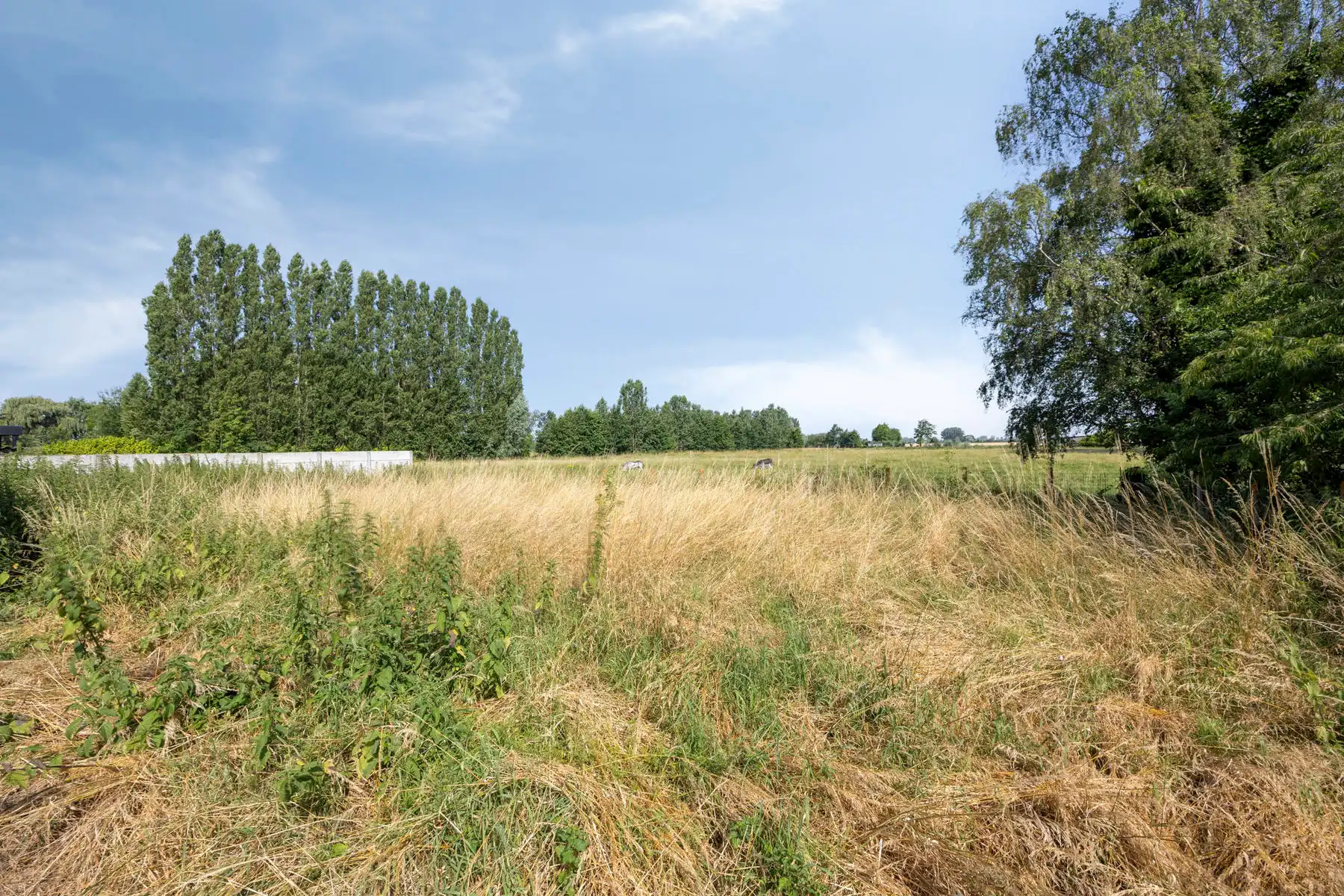 TE KOOP - bungalow met 3 slaapkamers en loods te Lede foto 22