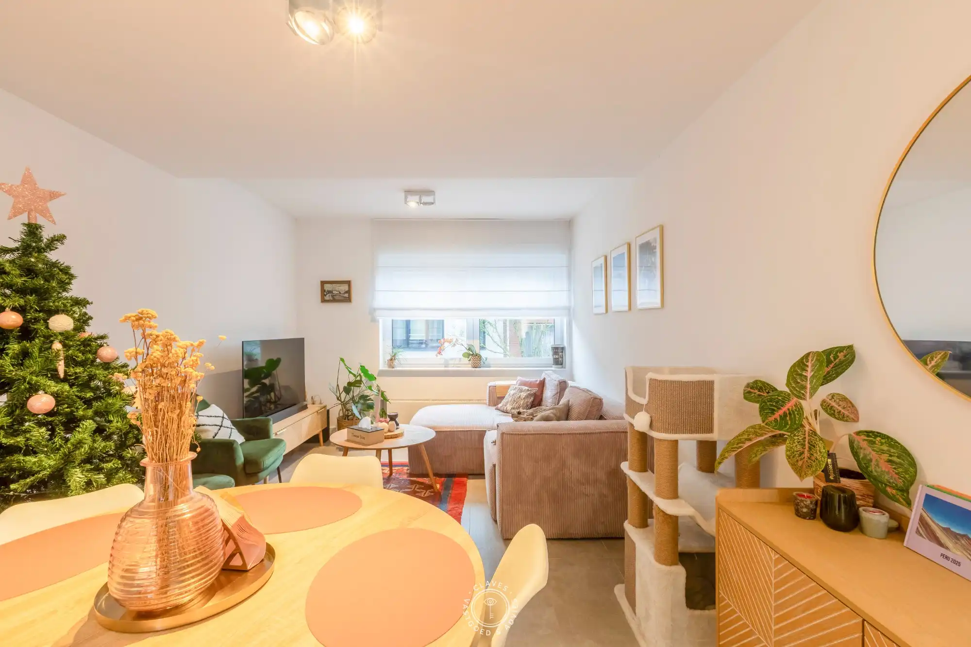 Sfeervol duplex appartement met terras en 1 slaapkamer foto 6