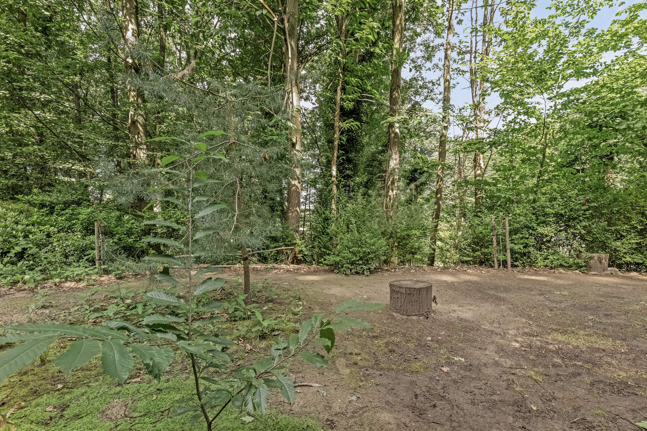 Ecologische woning met 4 slaapkamers te Heikant-Rotselaar foto 28