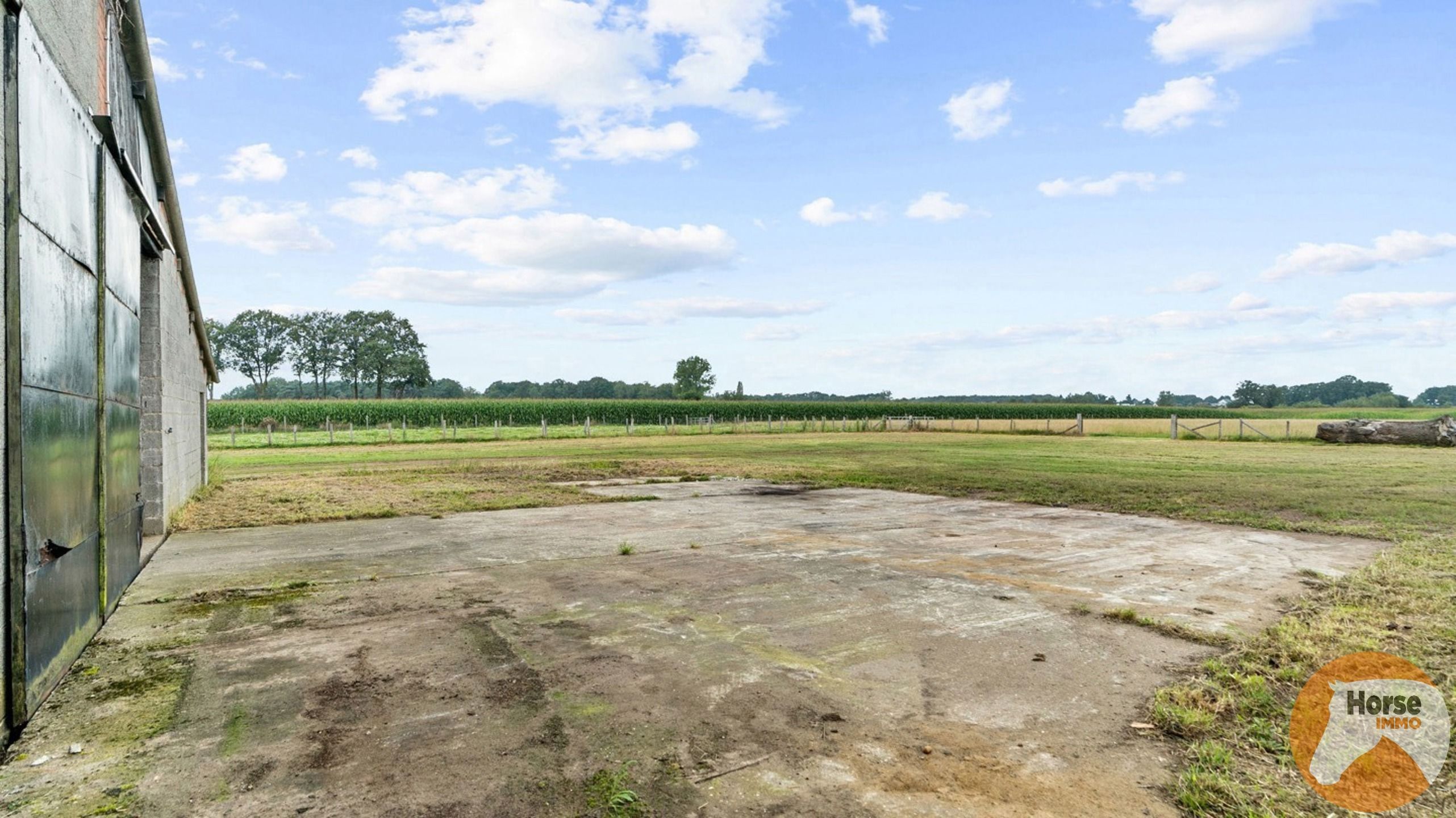 HEIST-OP-DEN-BERG - Te renoveren landbouwwoning met loods op 2,3 Ha foto 13