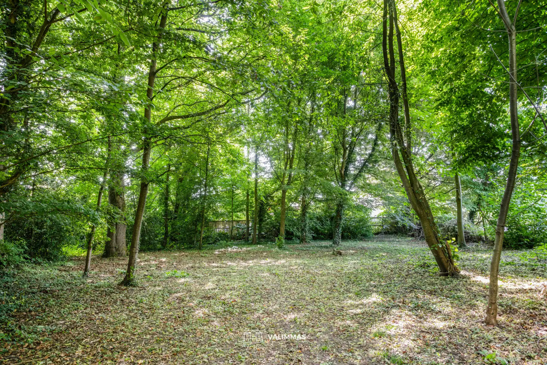 Uniek gelegen en zeer ruime doktersvilla met mooie tuin .... foto 24