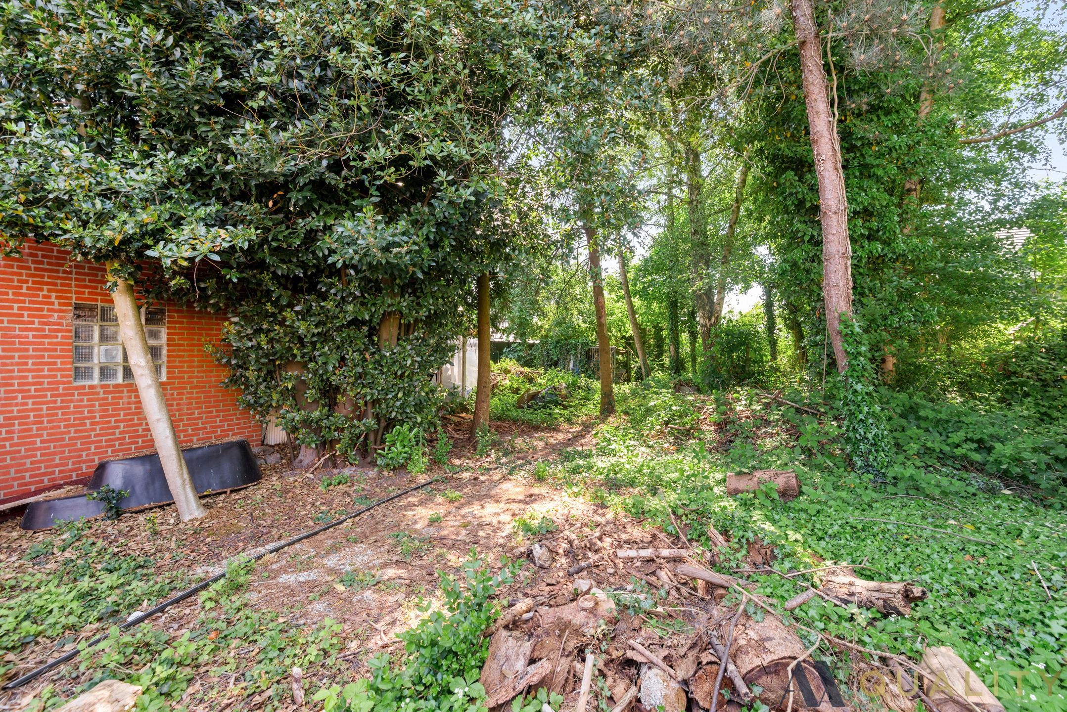 Te Renoveren Bungalow op Ruim Perceel foto 6