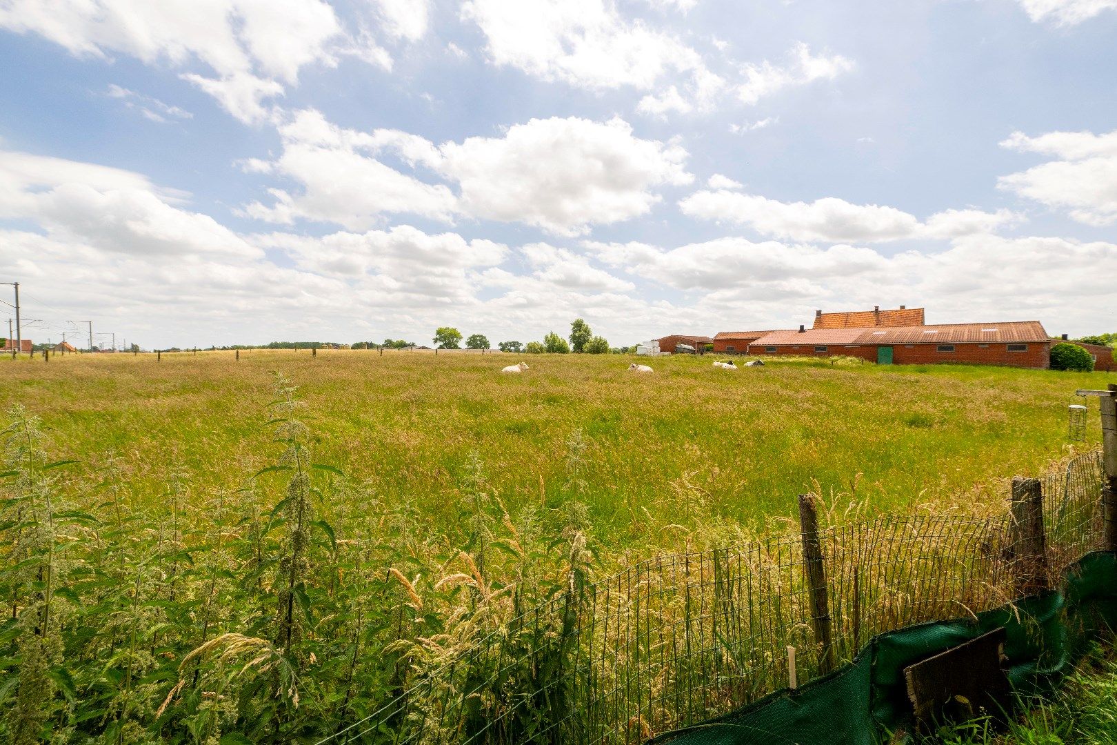 LANDELIJK GELEGEN WONING MET DIVERSE BIJGEBOUWEN OP 776m² foto 9