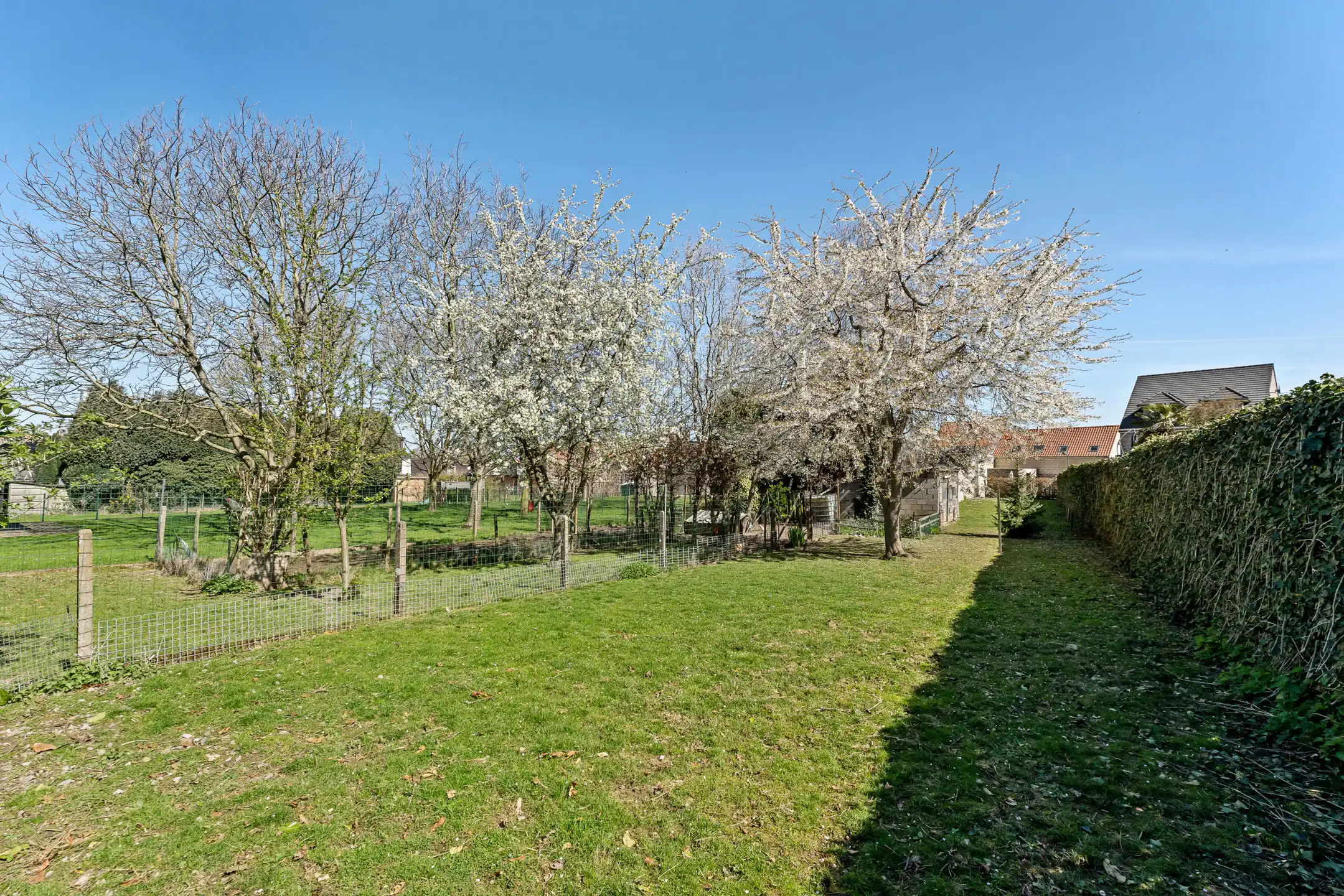 Charmante woning vlakbij de grens met Maastricht.  foto 14