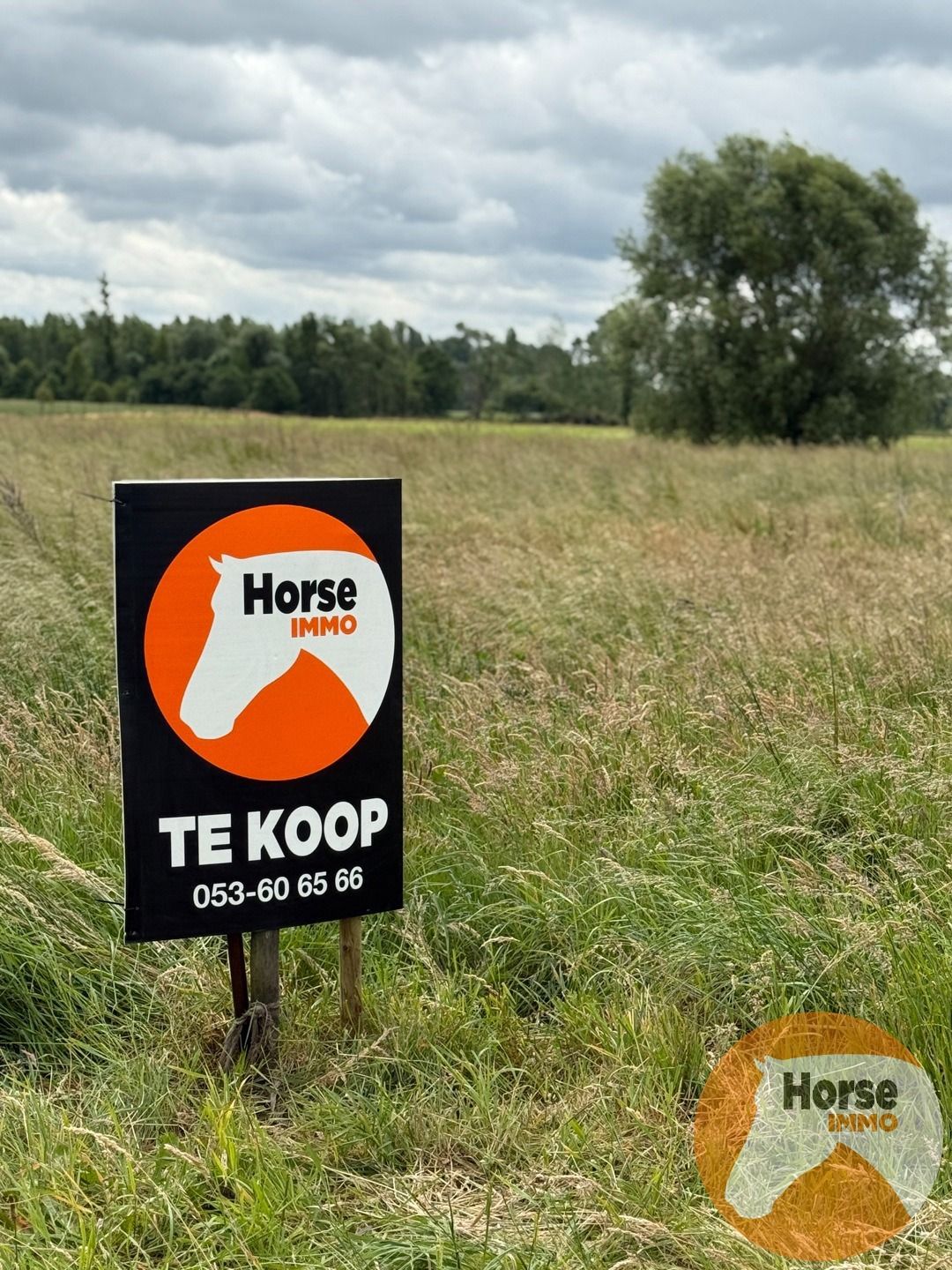 ()=>{if(producerUpdateValueVersion(node),producerAccessed(node),node.value===ERRORED)throw node.error;return node.value} 1880 Kapelle-op-den-Bos