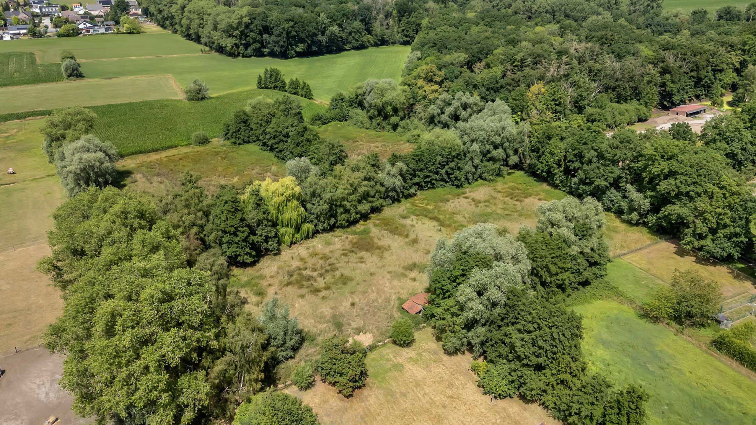 Uniek landhuis met aparte conciergewoning op 2 Hect grond foto 62