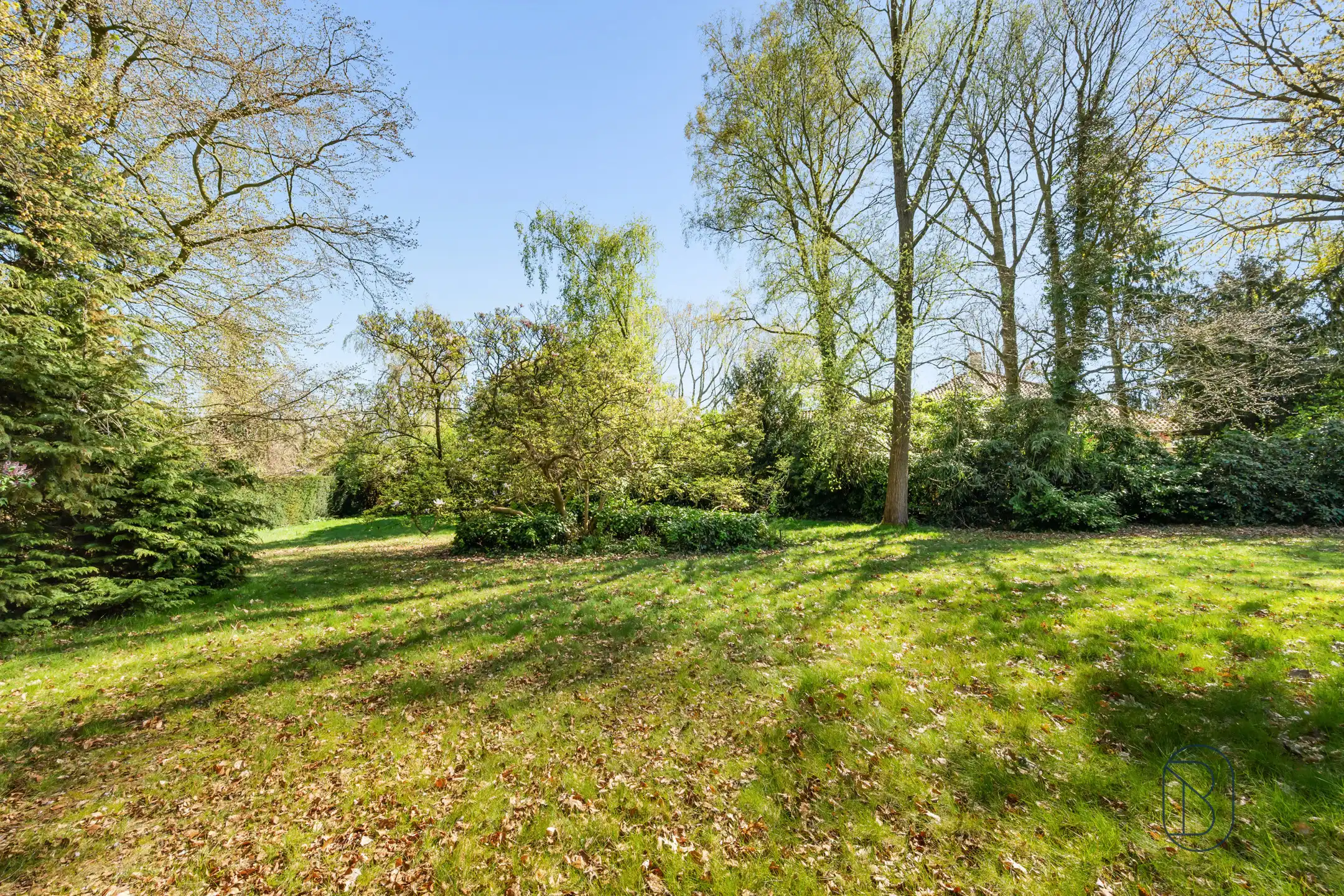 Topgelegen in de Rodenburg: te renoveren/af te breken villa foto 3