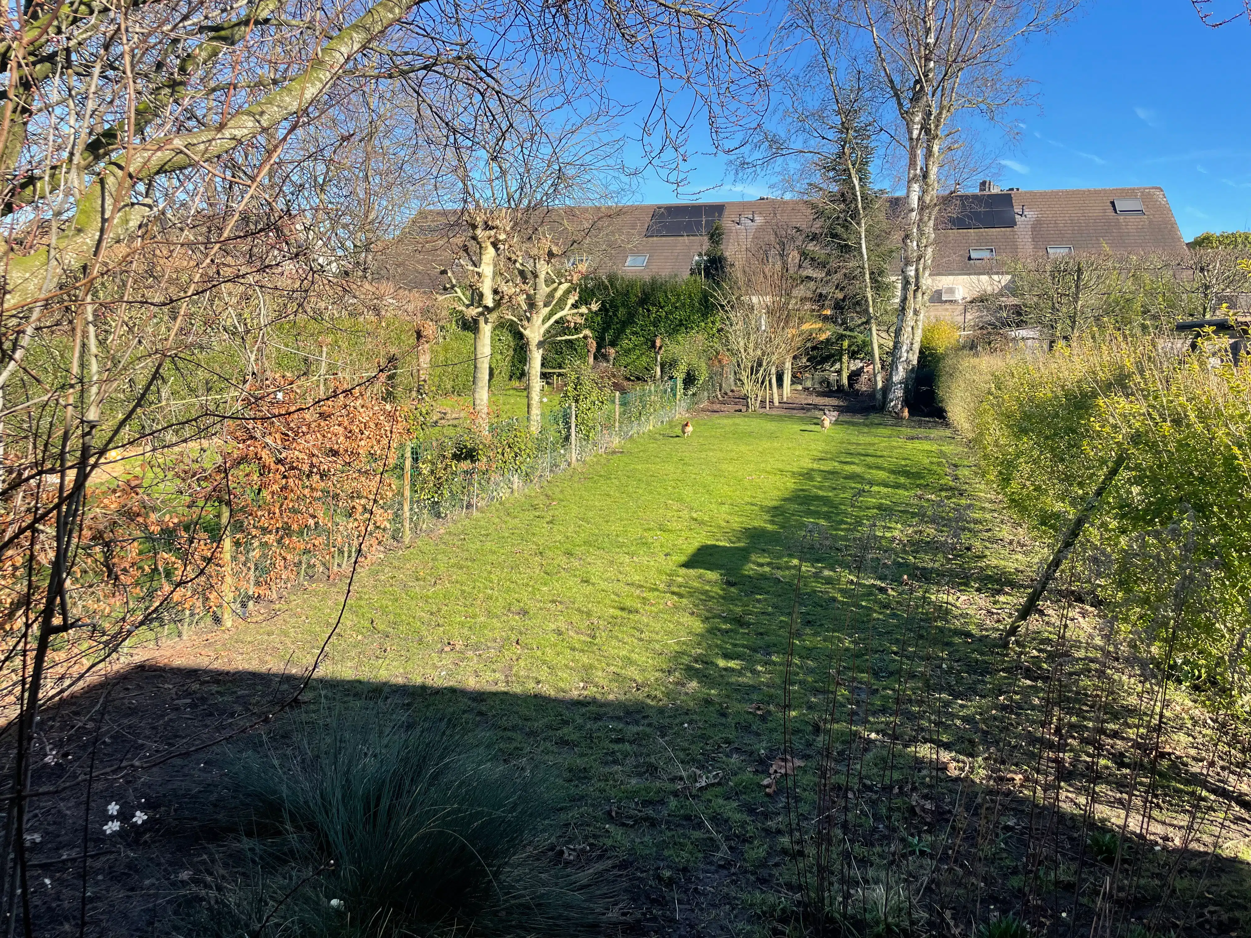 HANDELS-of EENGEZINS)WONING + tuin foto 43