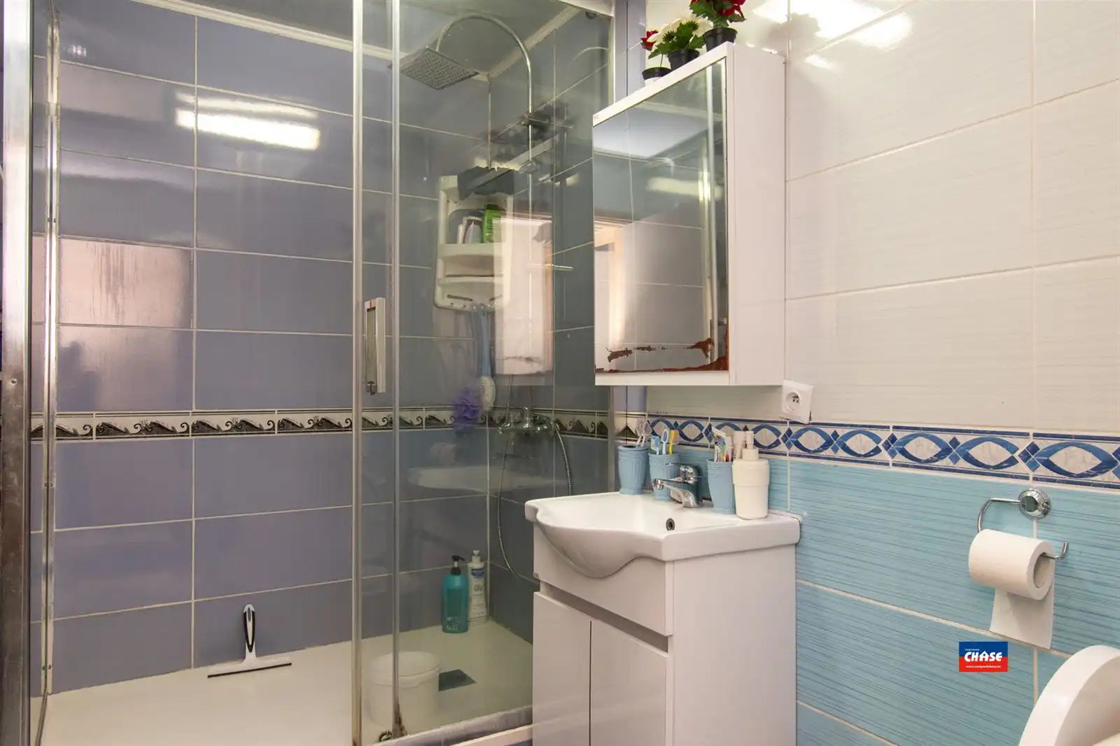 Ruime woning met 6 slaapkamers en handelsgelijkvloers foto 3