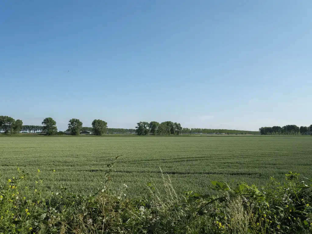 Breskens – Uitzonderlijke eigendom waar authenticiteit, karakter en strakke architectuur naadloos in elkaar samenvloeien op een exclusieve locatie tussen de velden en op een boogscheut van het strand. foto 36