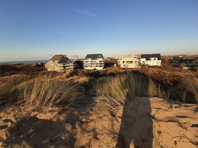 Rustig gelegen, gerenoveerd appartement met 2 terrassen vlakbij duinen en strand foto 8