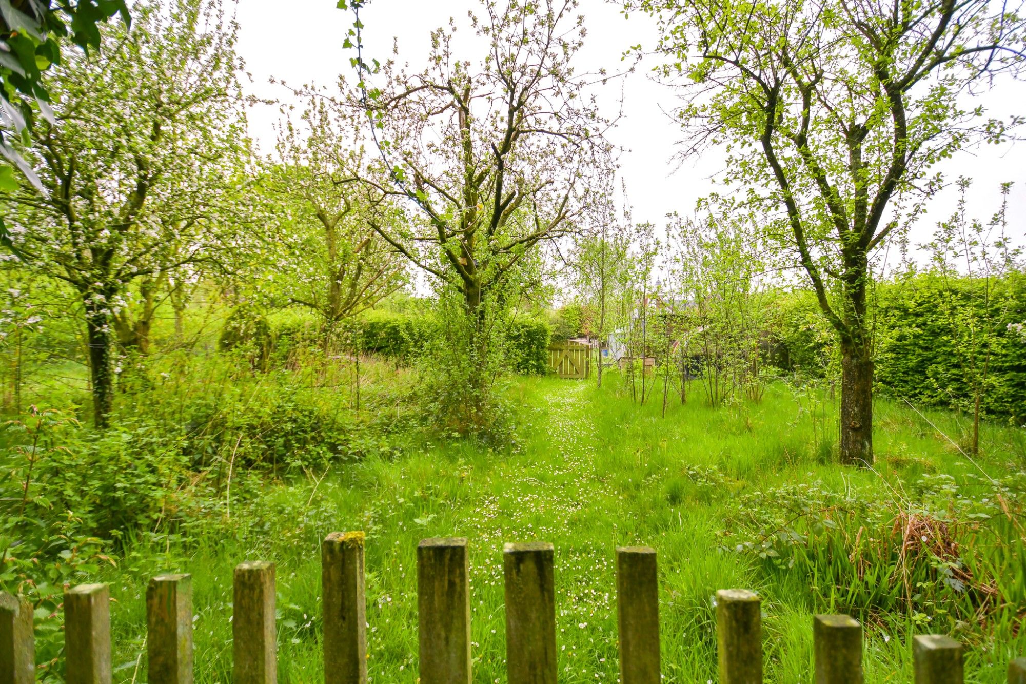 GOED GELEGEN WONING met prachtige idyllische tuin en uitweg op een perceel van 2034 m² met landelijke uitzichten foto 8