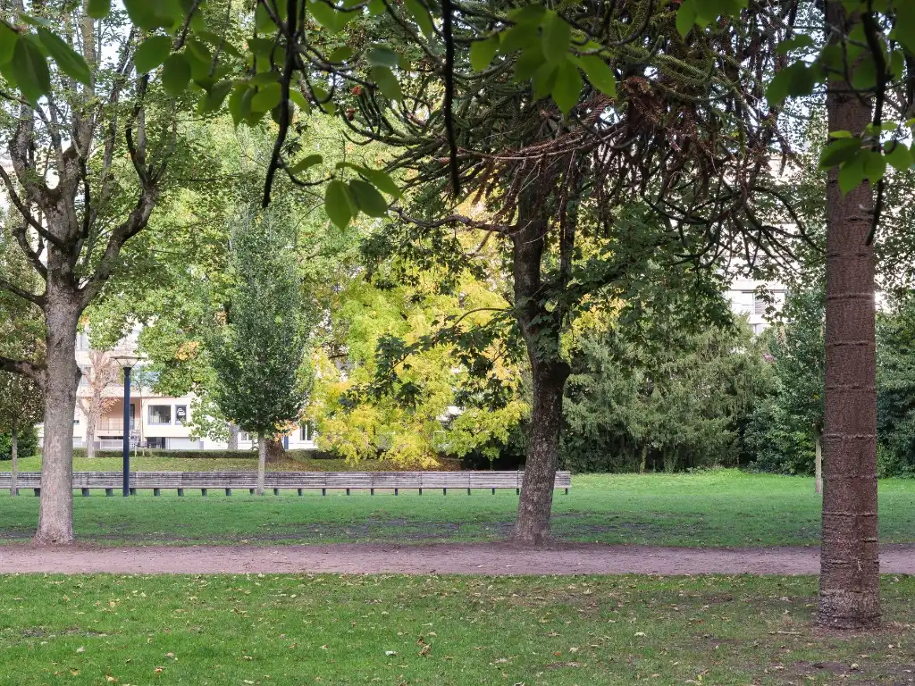 Statige, karaktervolle stadswoning met zicht op het Zuidpark foto 16