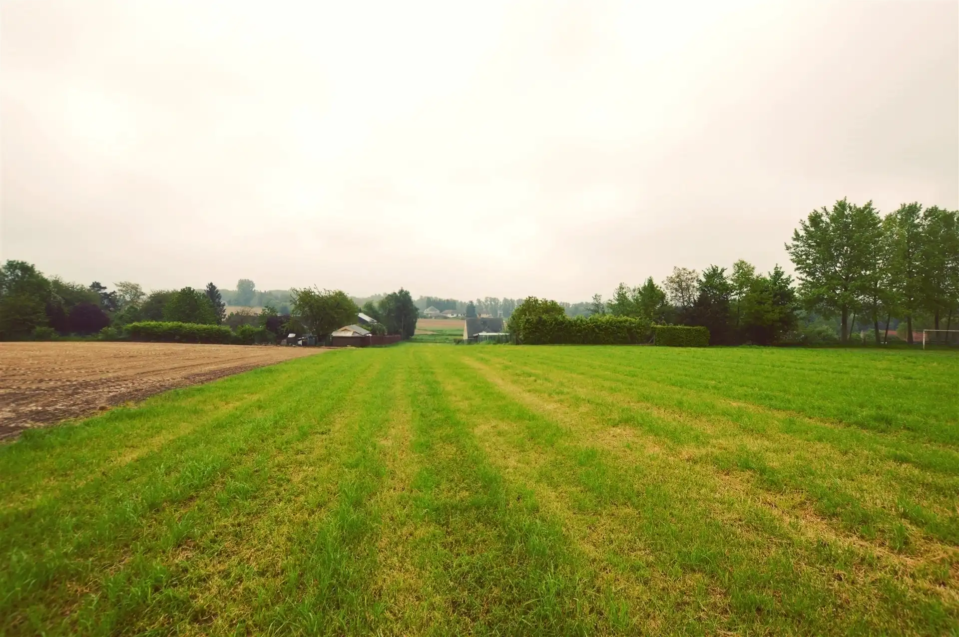 Bouwgrond van 50 are met groenzicht in Bekkerzeel foto 4