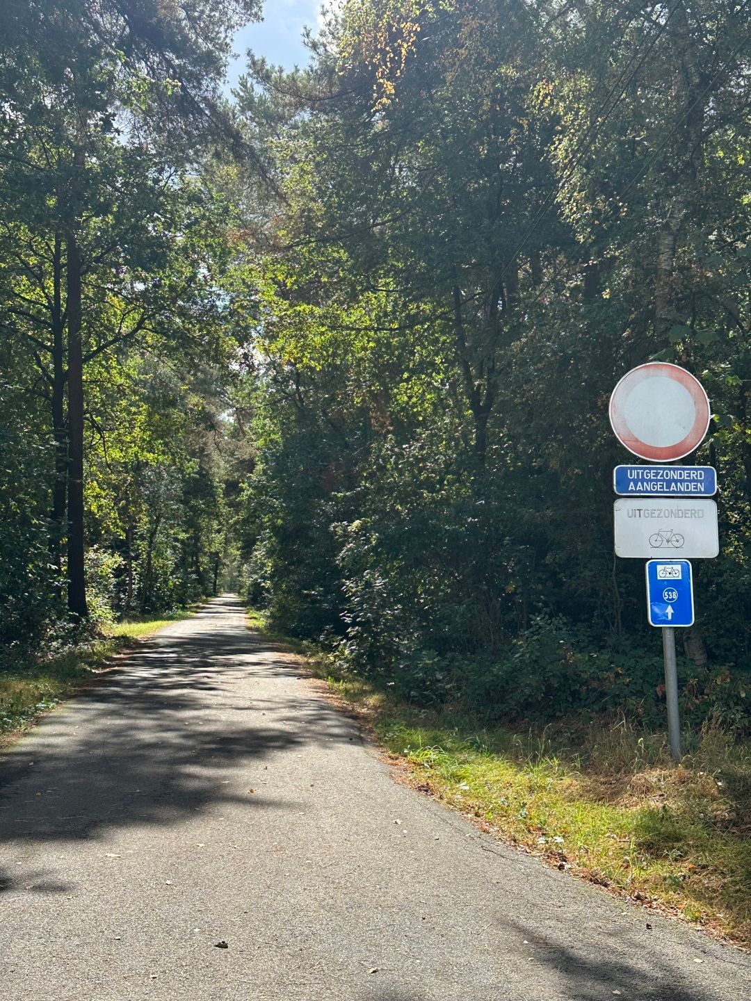 HELCHTEREN - Rustig gelegen cottage op 1ha24 foto 20