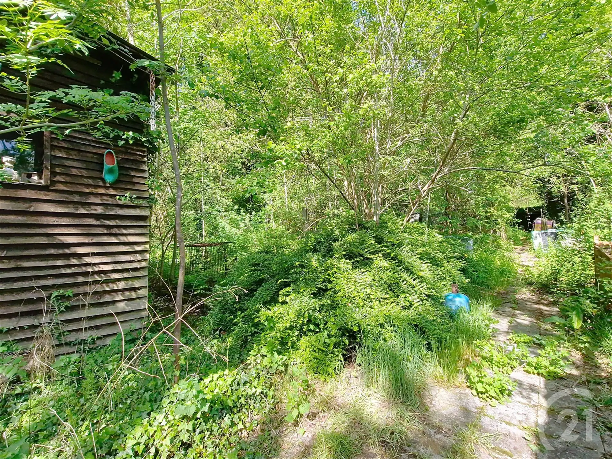 Chalet te koop in Baal! foto 5