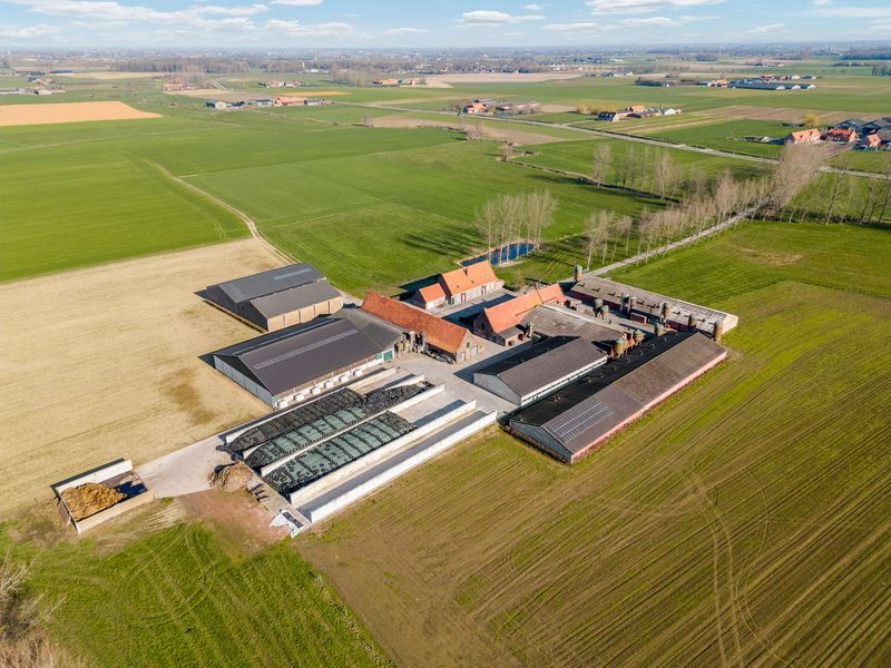 Gemengd landbouwbedrijf te Vlamertinge foto 1