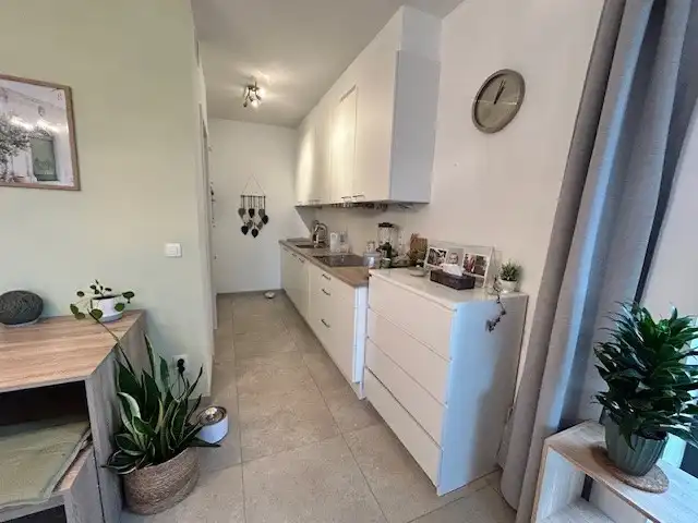 1 slaapkamer appartement in Elfde Liniestraat Hasselt foto 3