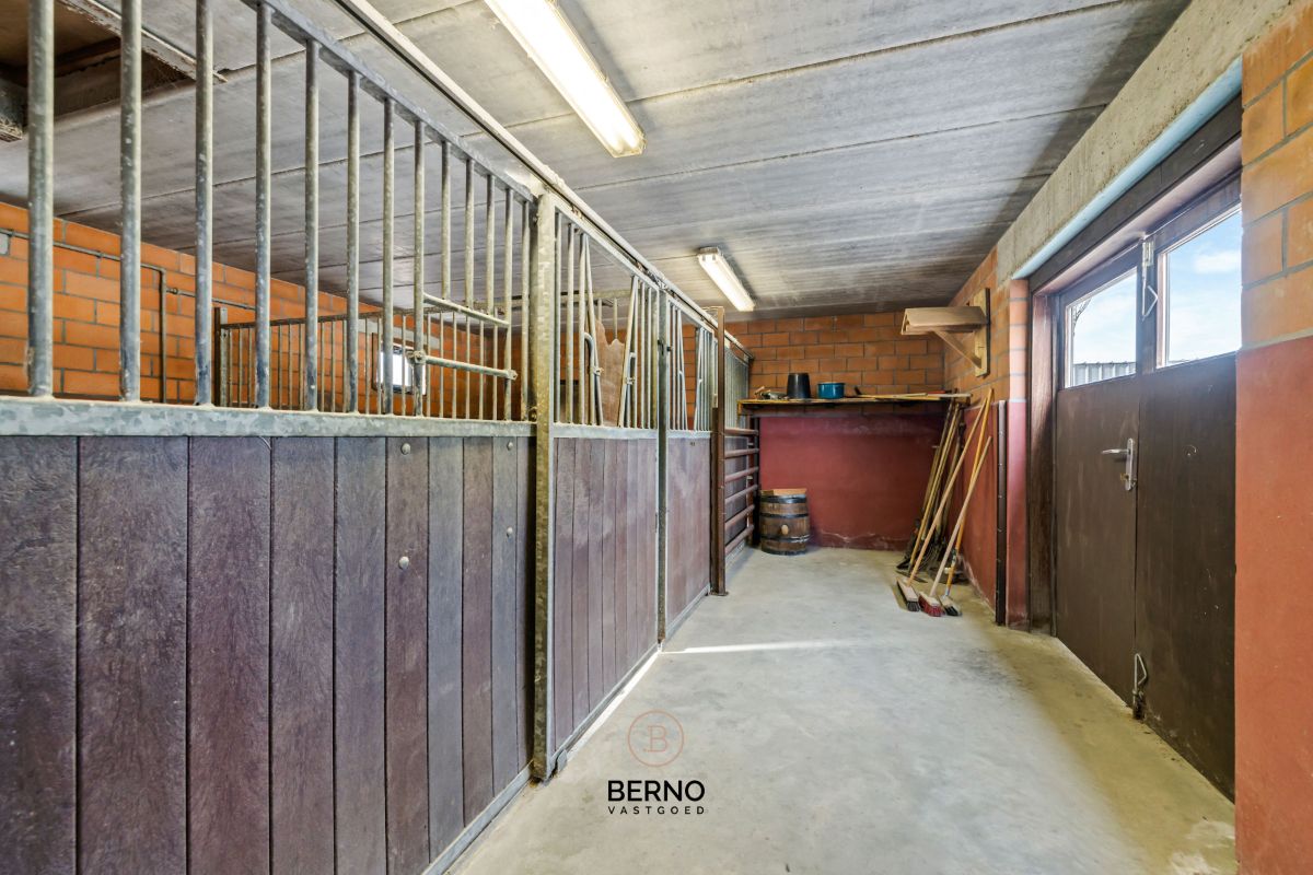 Charmante hoeve met paardenaccommodatie op 4.400 m². foto 14