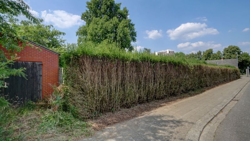 Projectgrond voor meergezinswoningen met af te breken gebouw foto 20