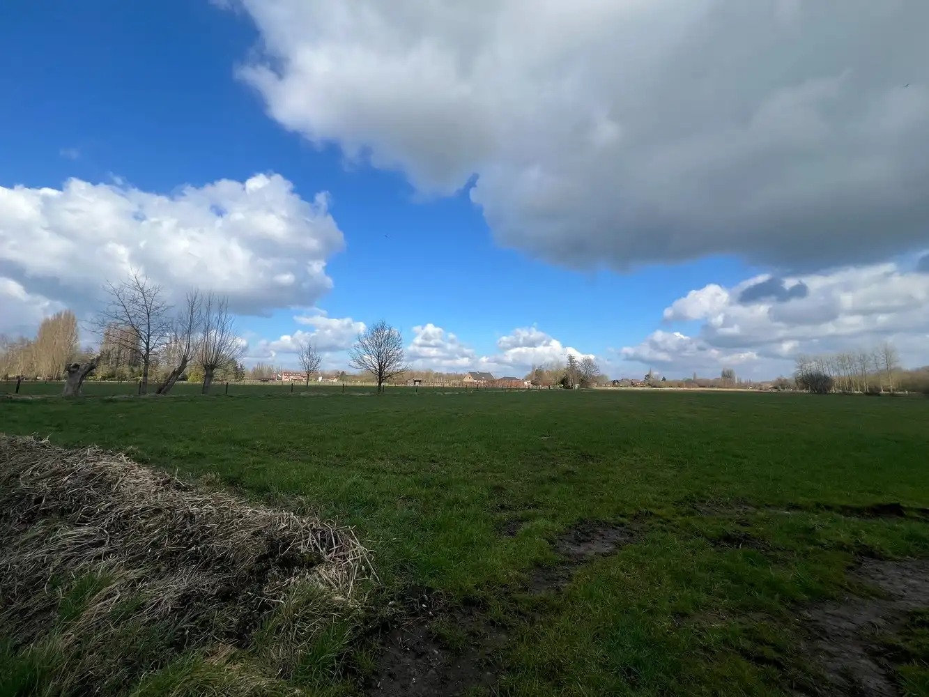 Landbouwgrond te Duffel foto 4