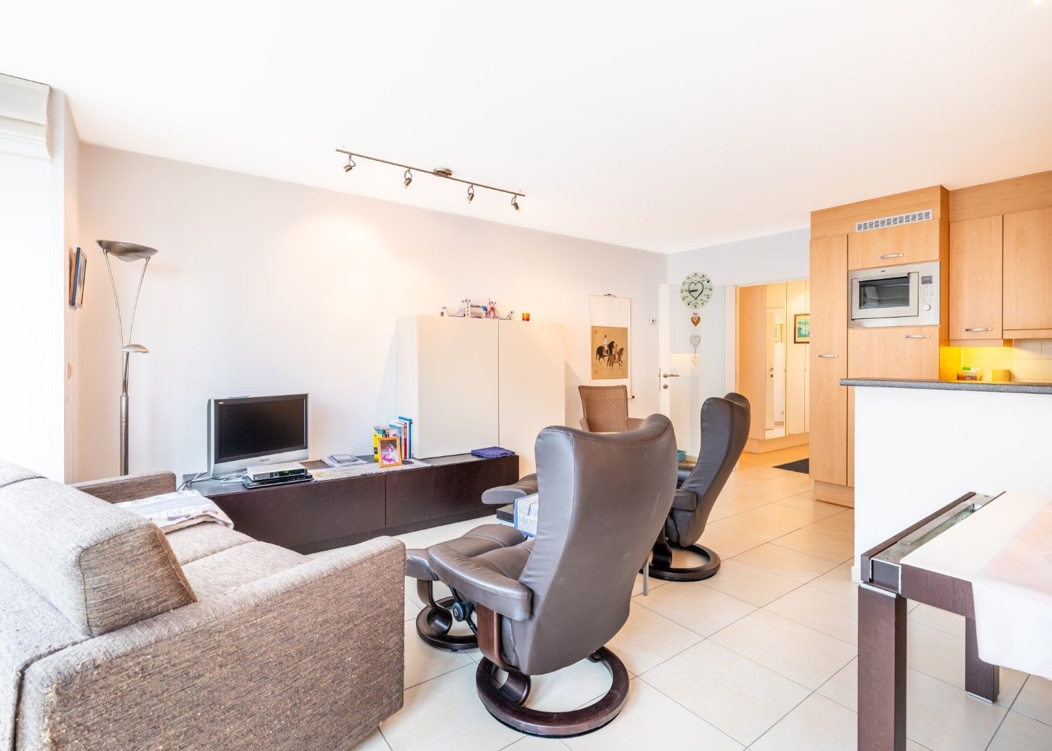 Dante - 03.02 foto 6