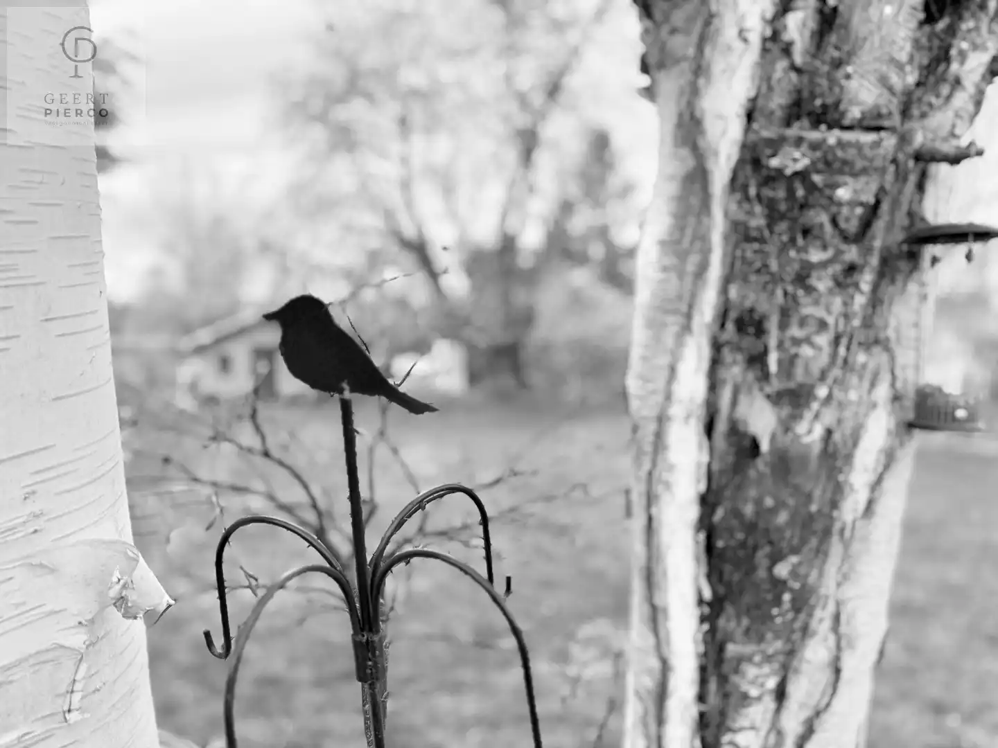 Gezellige bungalow foto 34