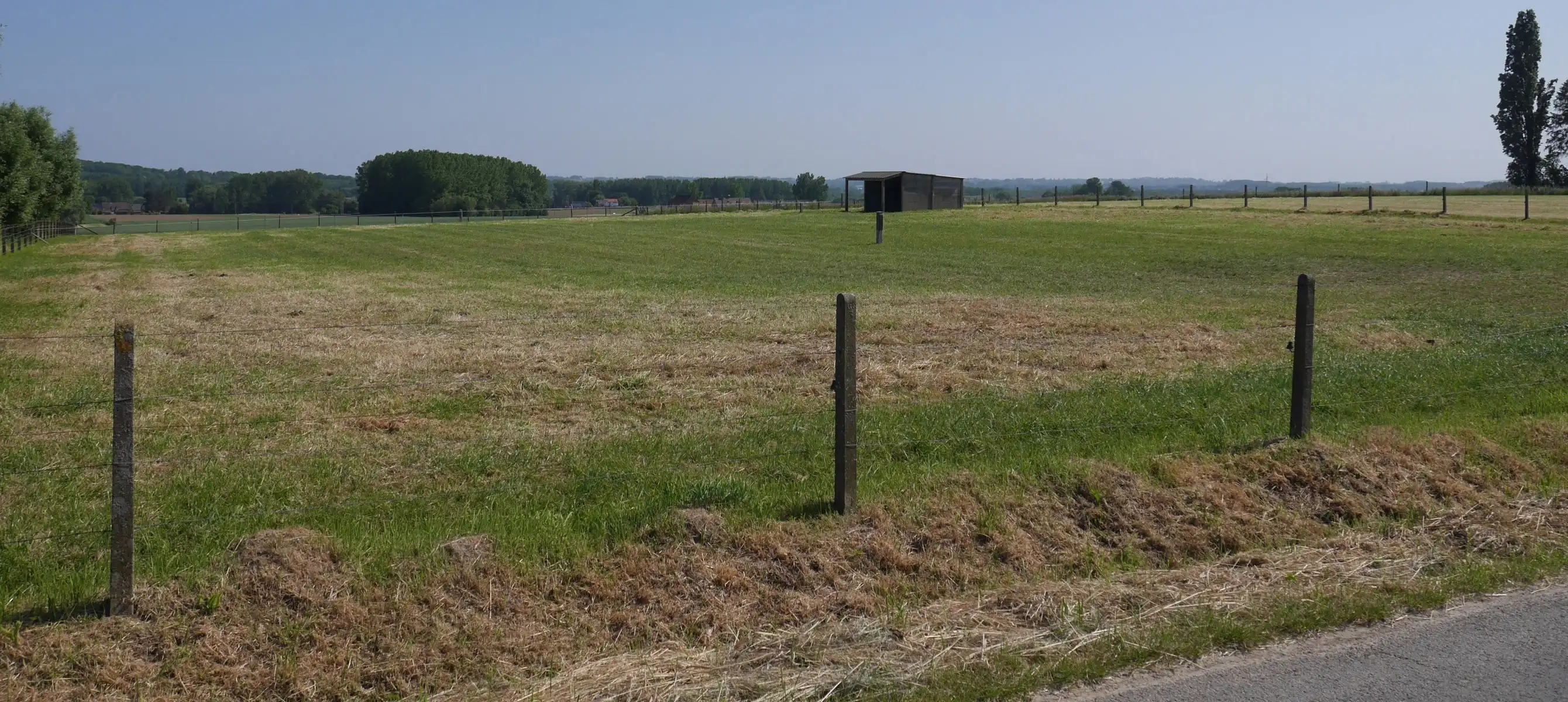 Zeer vlot bereikbare weide foto 13