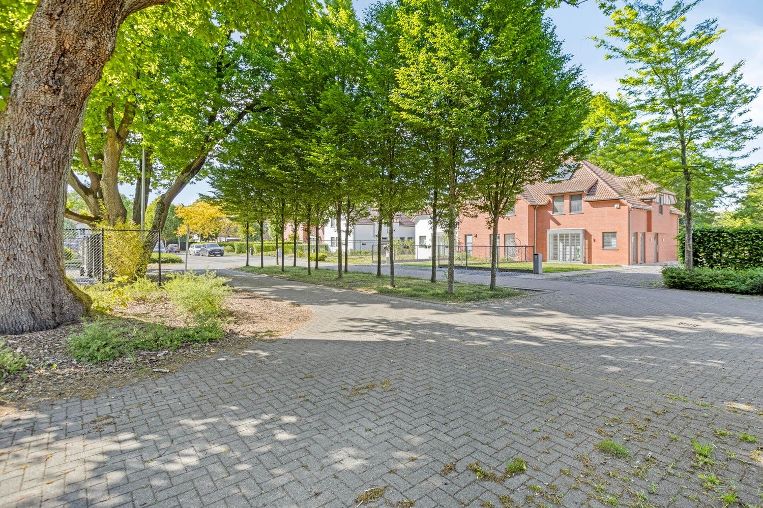 Instapklare gezinswoning in rustige woonwijk met 4 slaapkamers, tuin en gunstig EPC foto 32