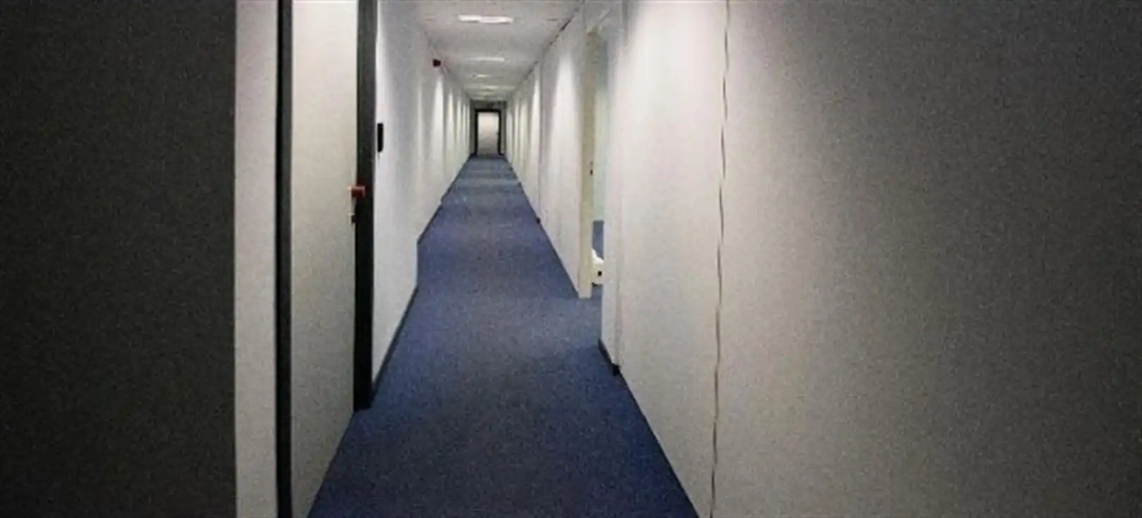 PAEPSEM BUSINESS PARK: vanaf 47m² tot 800 m² foto 17