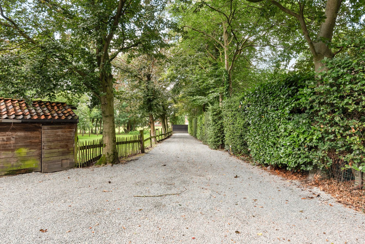 Gerenoveerde hoeve op 1313 m² met inrijlaan. foto 7