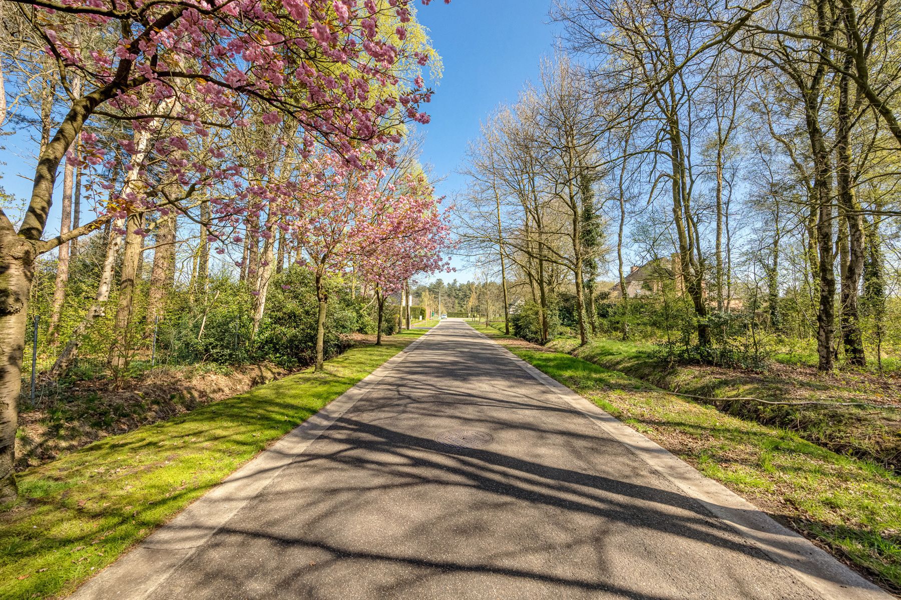 Een perceel bouwgrond voor open bebouwing van 1.109m² in een residentiële omgeving.  foto 4