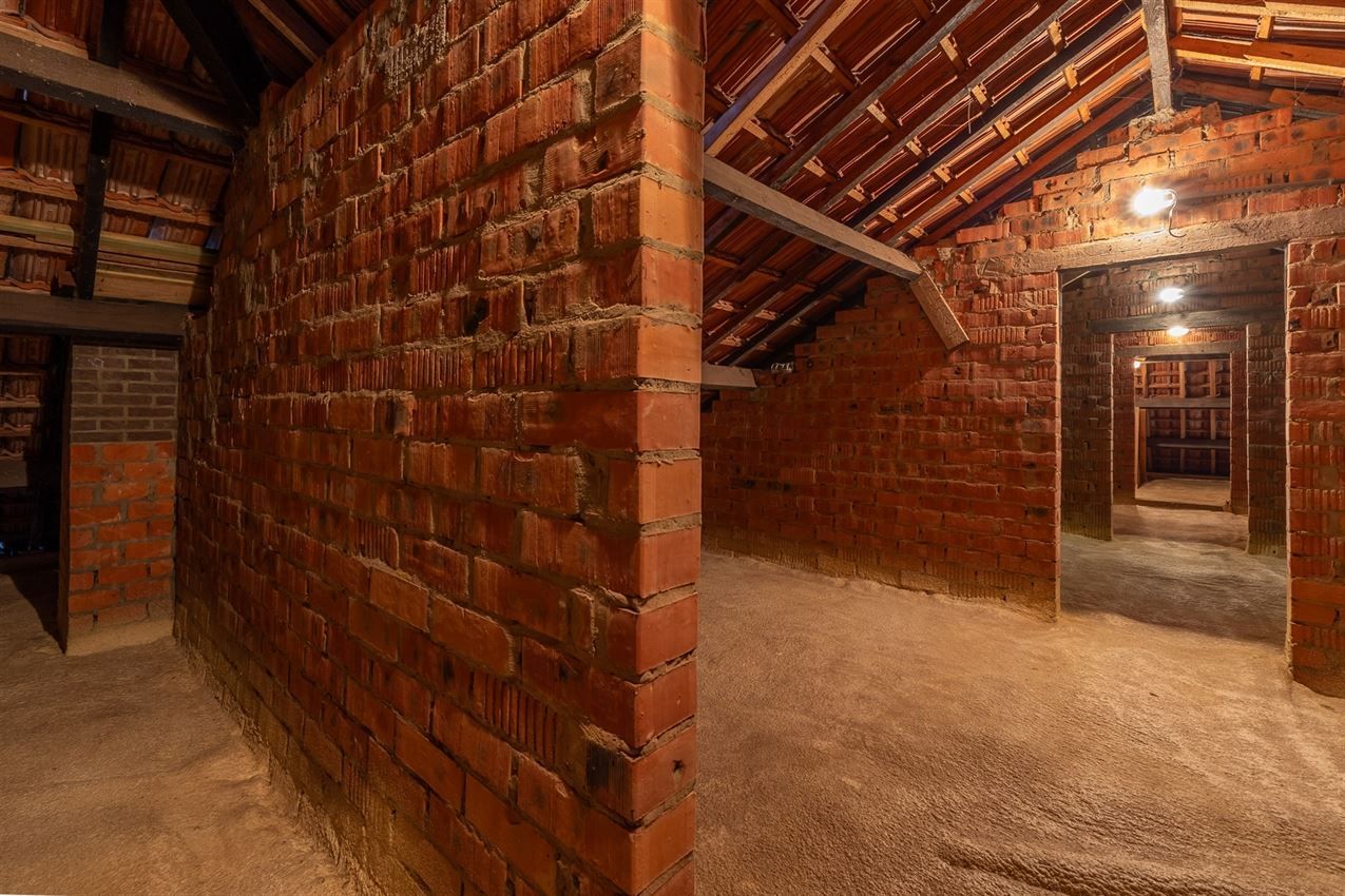 verborgen parel in het groen foto 28