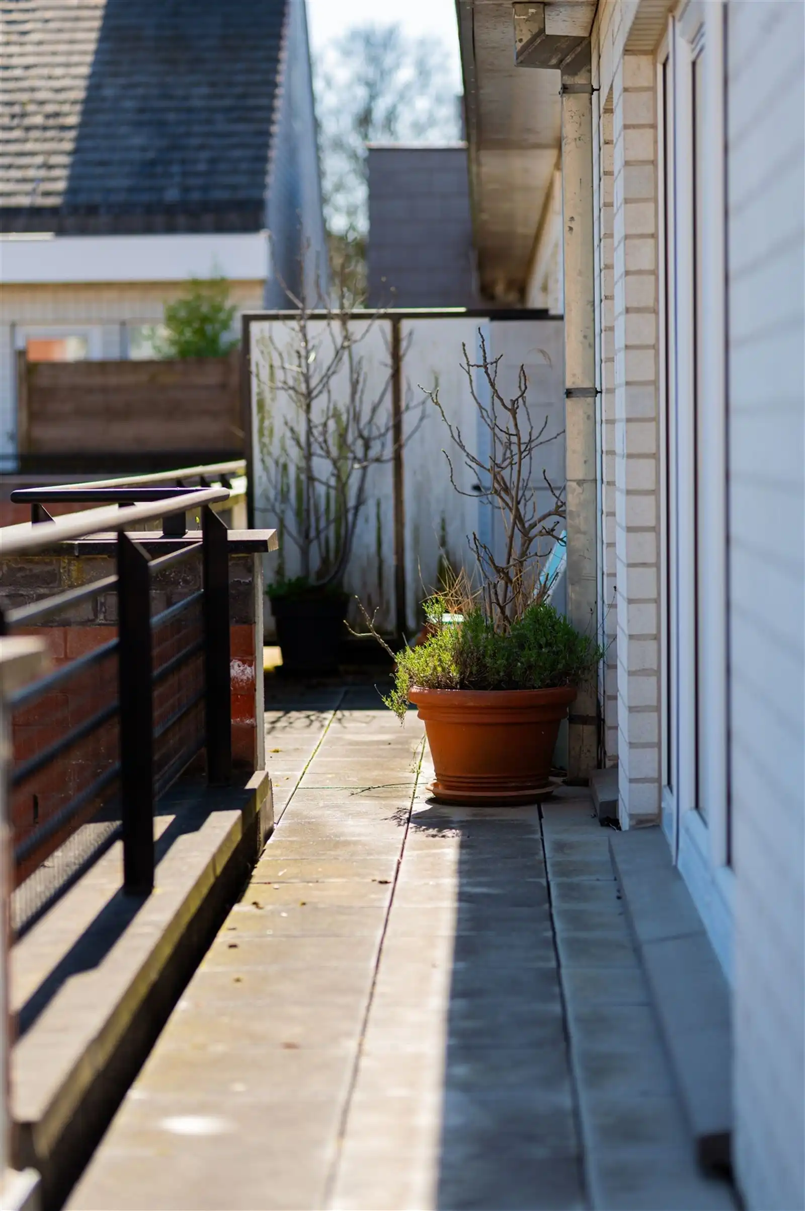 Appartement met magnifiek terras foto 11