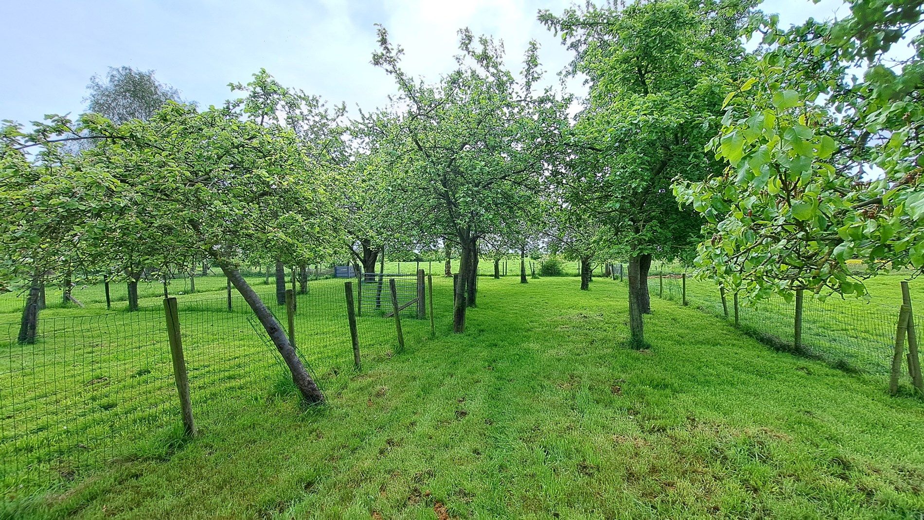 Villa met 6 slaapkamers, 2 badkamers en grote tuin foto 5