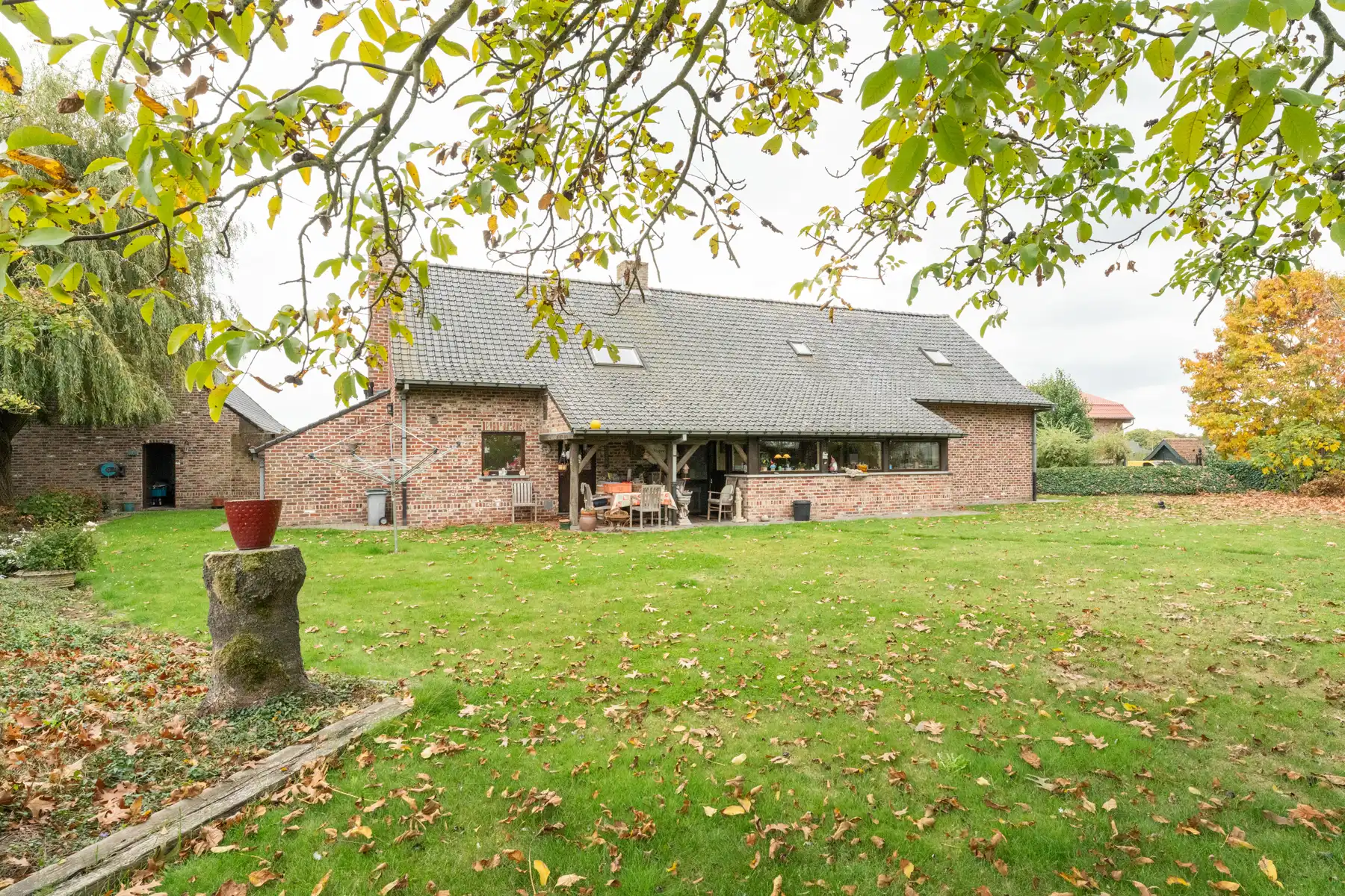 Landhuis met 2 magazijnen, rustig gelegen op 5.388 m² foto 13