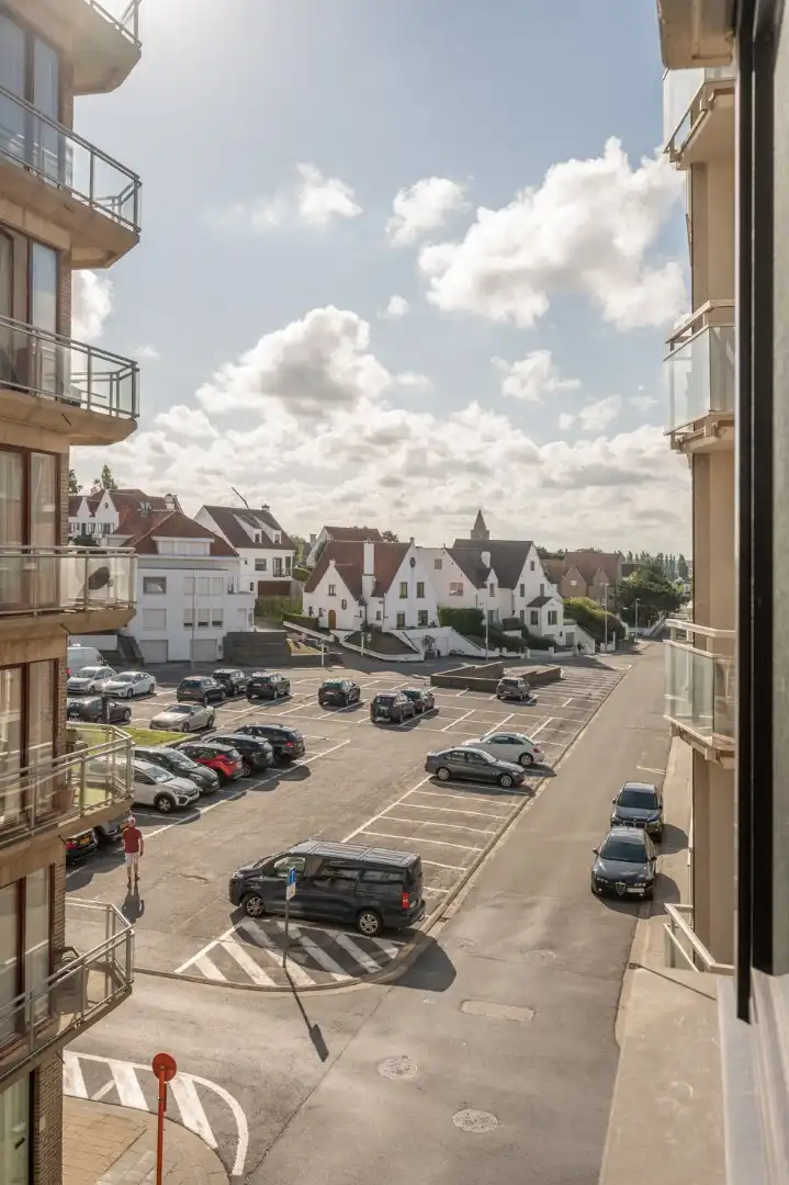Lichtrijk appartement met zijdelings zeezicht en prachtig open zicht over Duinbergen foto 12