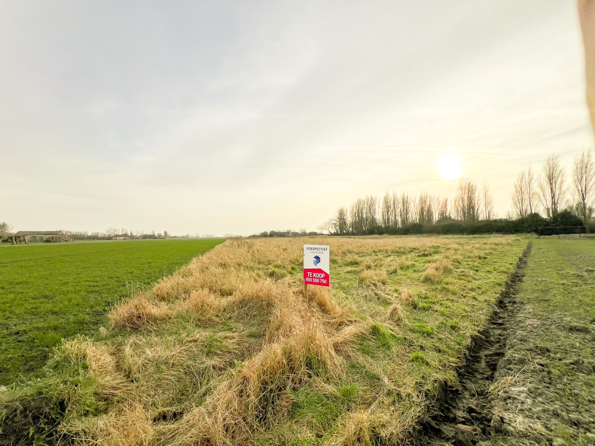 4 PERCELEN LANDBOUWGROND met een TOTALE oppervlakte van 11.340 m² foto 4