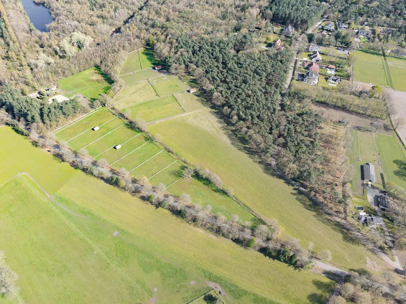 Schitterend domein van 7,7 ha met prachtige villa, zwembad, guesthouse, ruime schuur en uitgebreide paardenfaciliteiten. foto 43