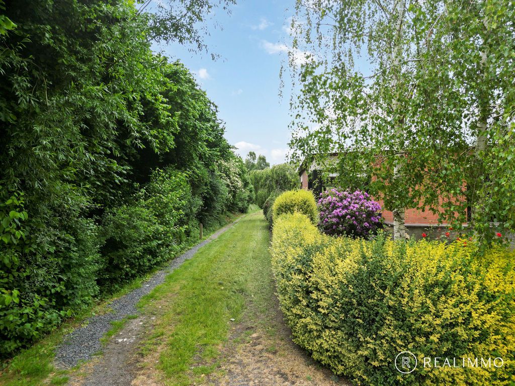 Bouwgrond in centrum Avelgem! foto 4