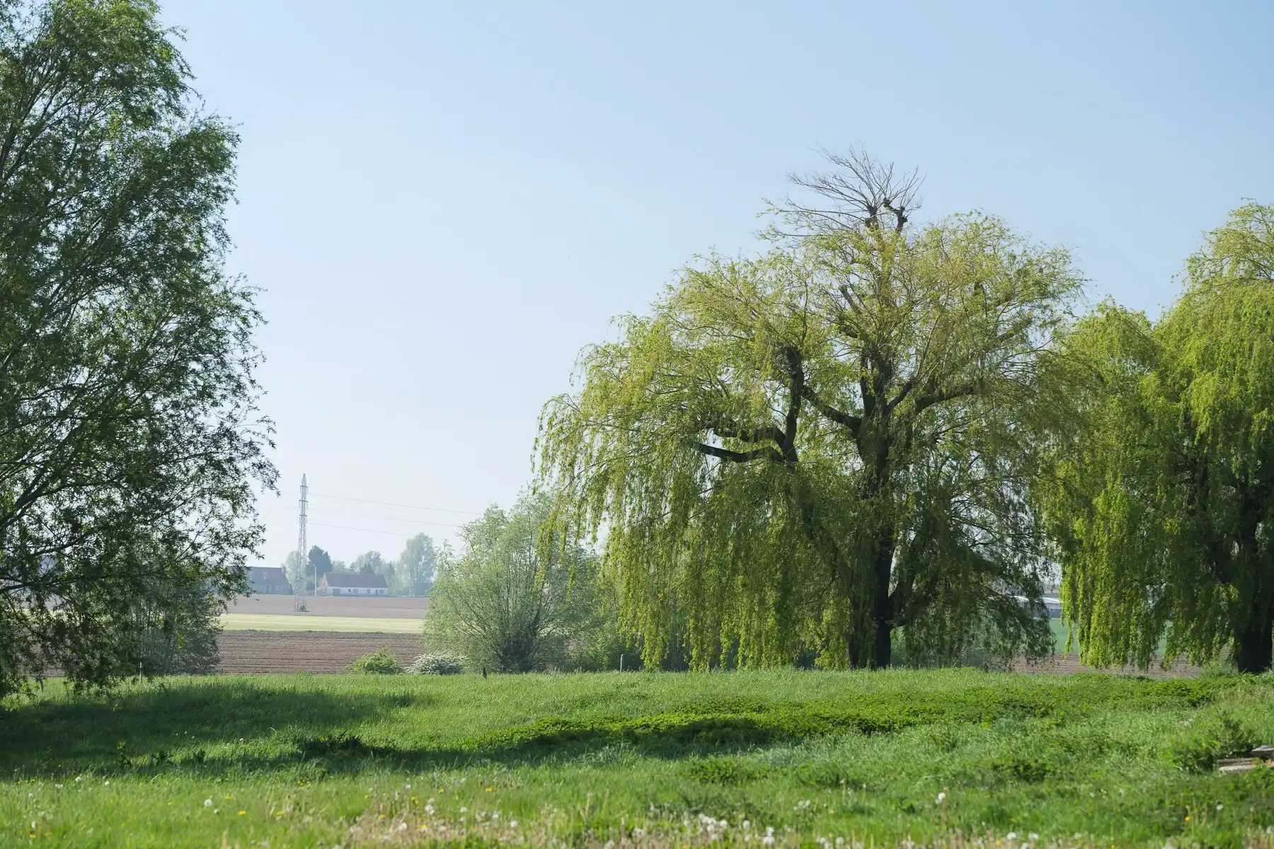 Een hectare groen, klaar voor jouw toekomst (zonevreemd!) foto 13