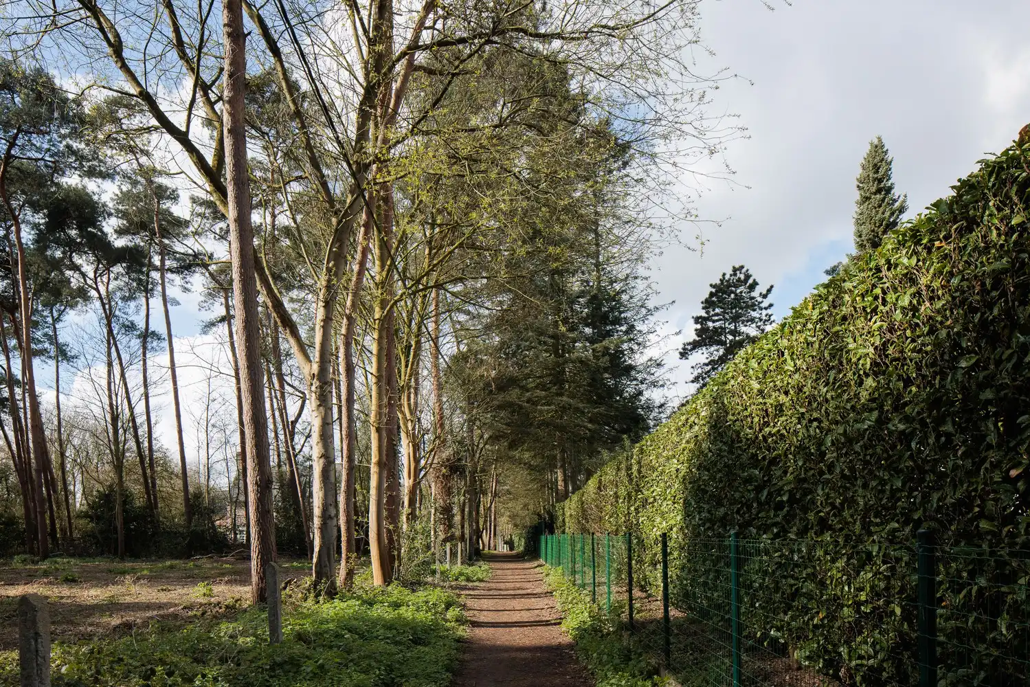 Uitstekend gelegen bouwgrond van ca. 2.993 m2 foto 11