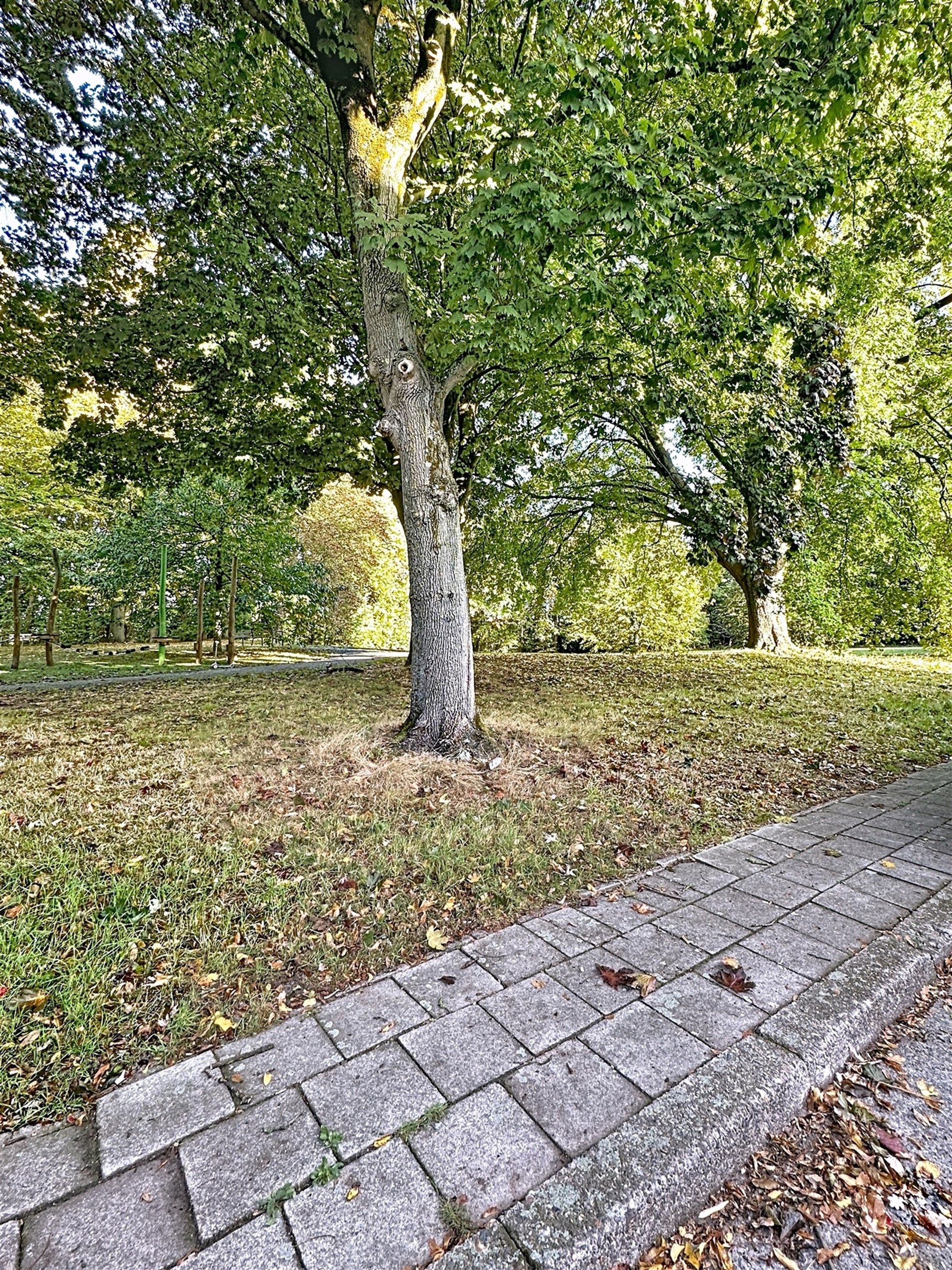 Gezellig appartement met één slaapkamer en privé tuin foto 19