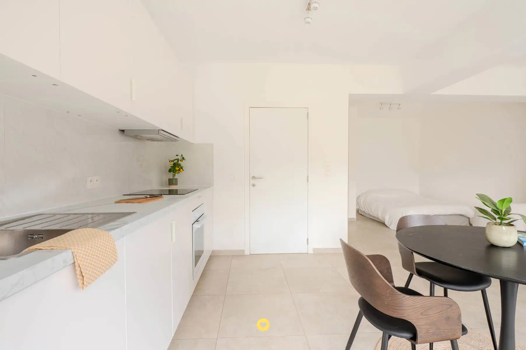 Energiezuinige gelijkvloerse studio met zonnige tuin in Wilrijk foto 2