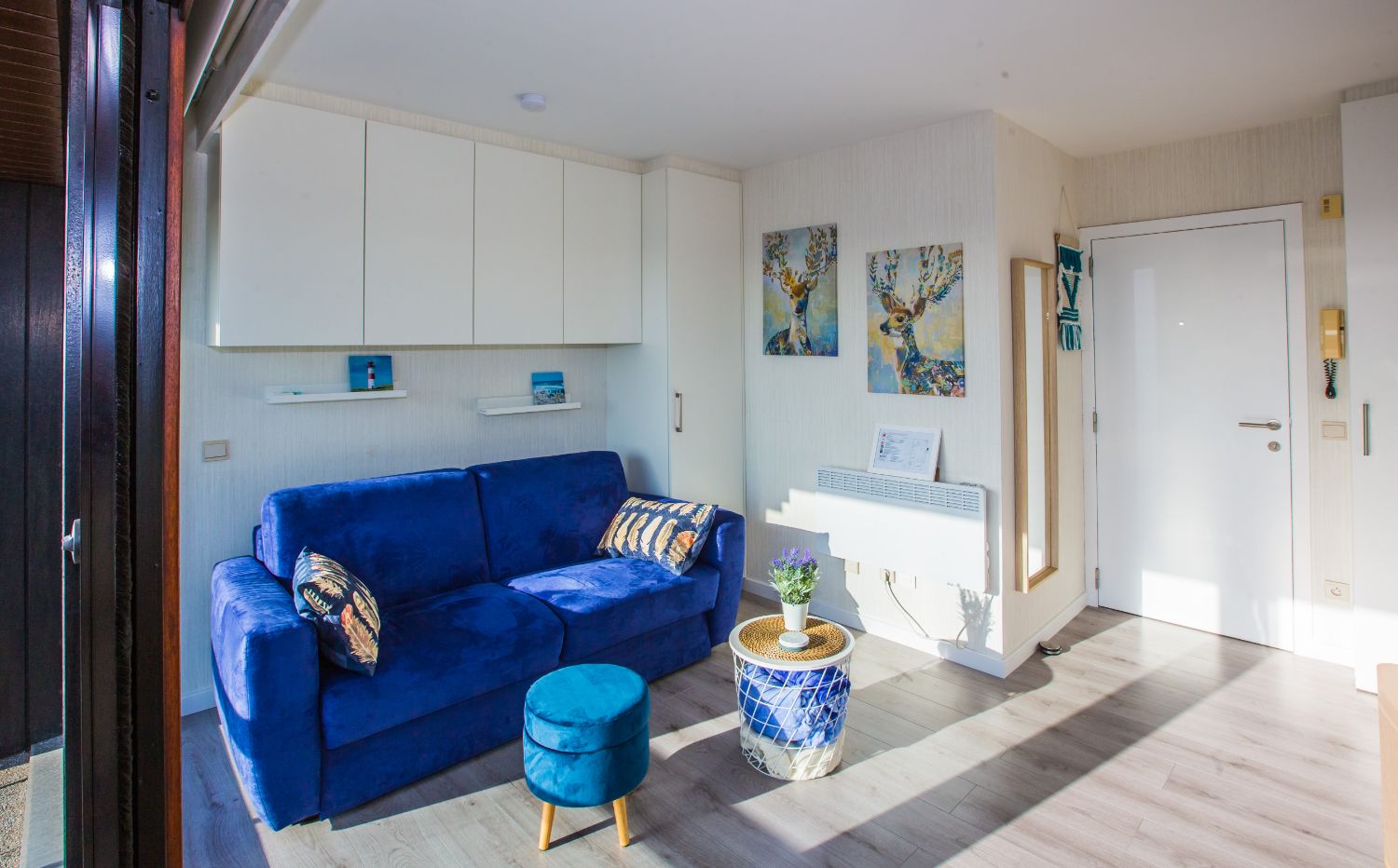 Hoofdfoto van de publicatie: Knusse studio met fenomenaal duinenzicht