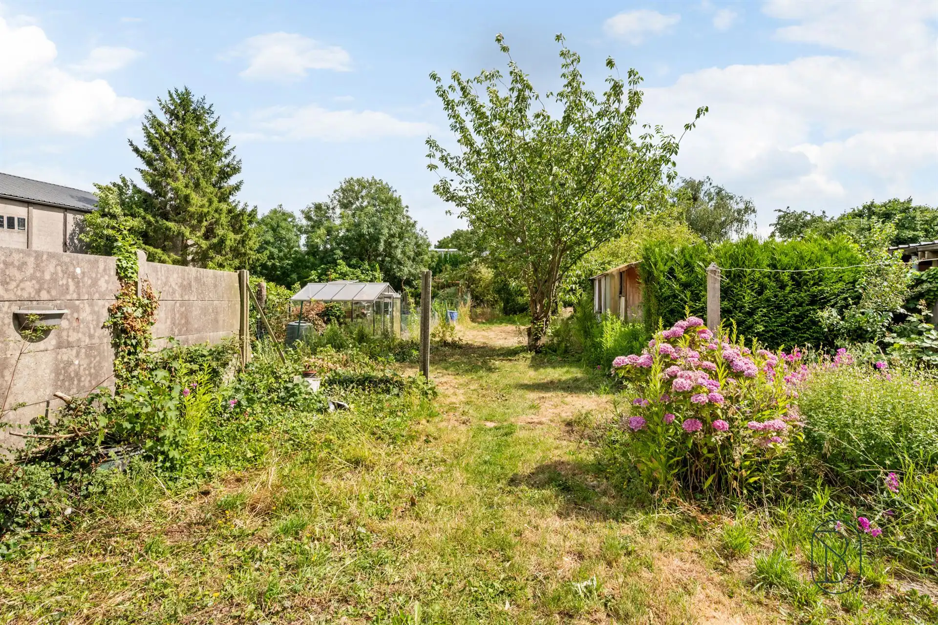 Gezinswoning met 6 slpk, ruime tuin en atelier in Wevelgem foto 4