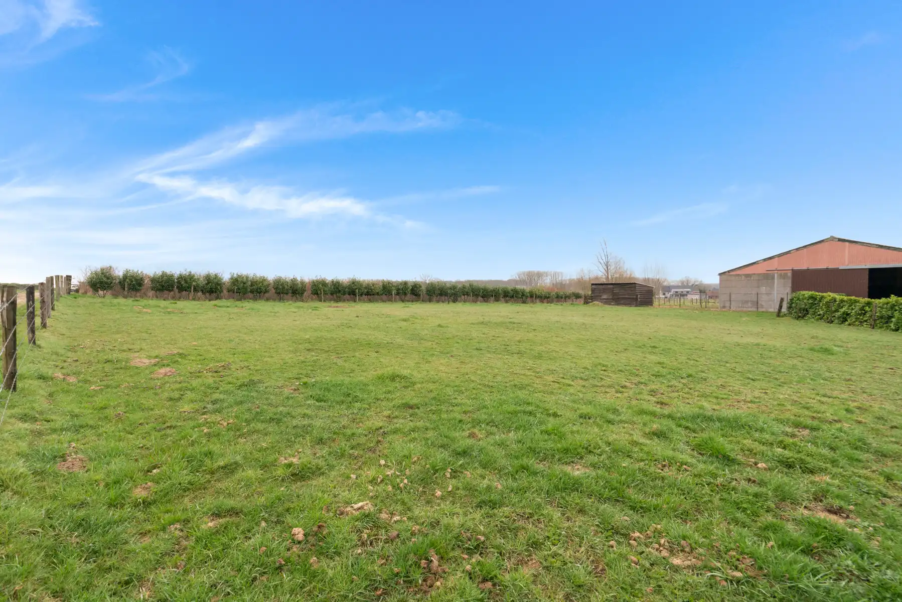 Ruime Loods (484m²) met Weide (3700m²) in Smetlede foto 10