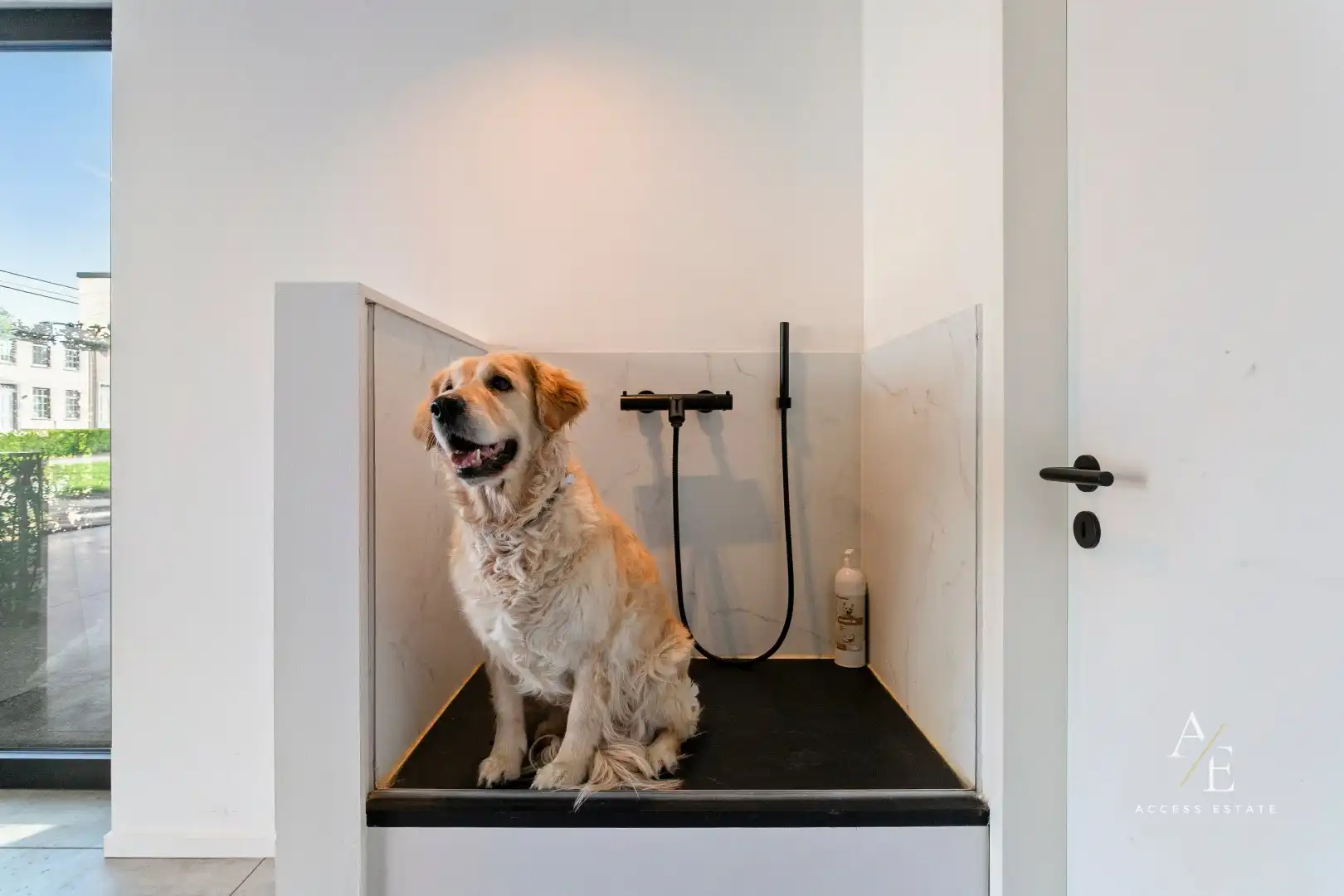 OOSTERZELE - Strakke designvilla met zwembad uit 2020! foto 6