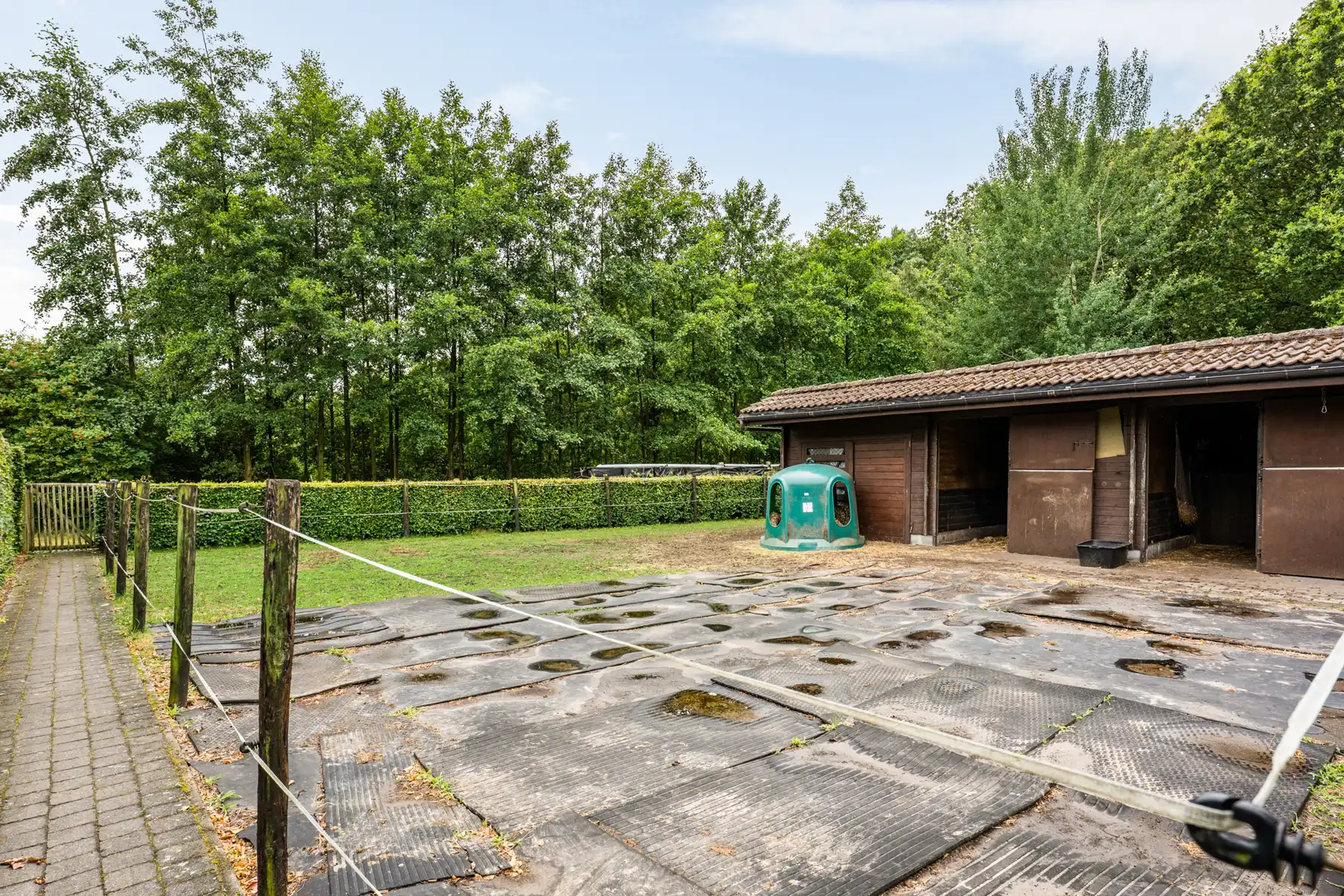 IN OPTIE. Cipierswoning met drie slaapkamers in Merksplas foto 28