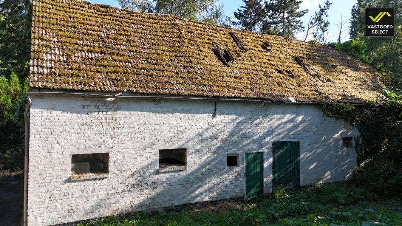 Te koop: Uniek Landelijk Perceel met Te Renoveren Hoeve, Vergunde Schuren en Nieuwbouwmogelijkheid tot 1.000 m³ – Ideaal voor Paardenliefhebbers foto 6